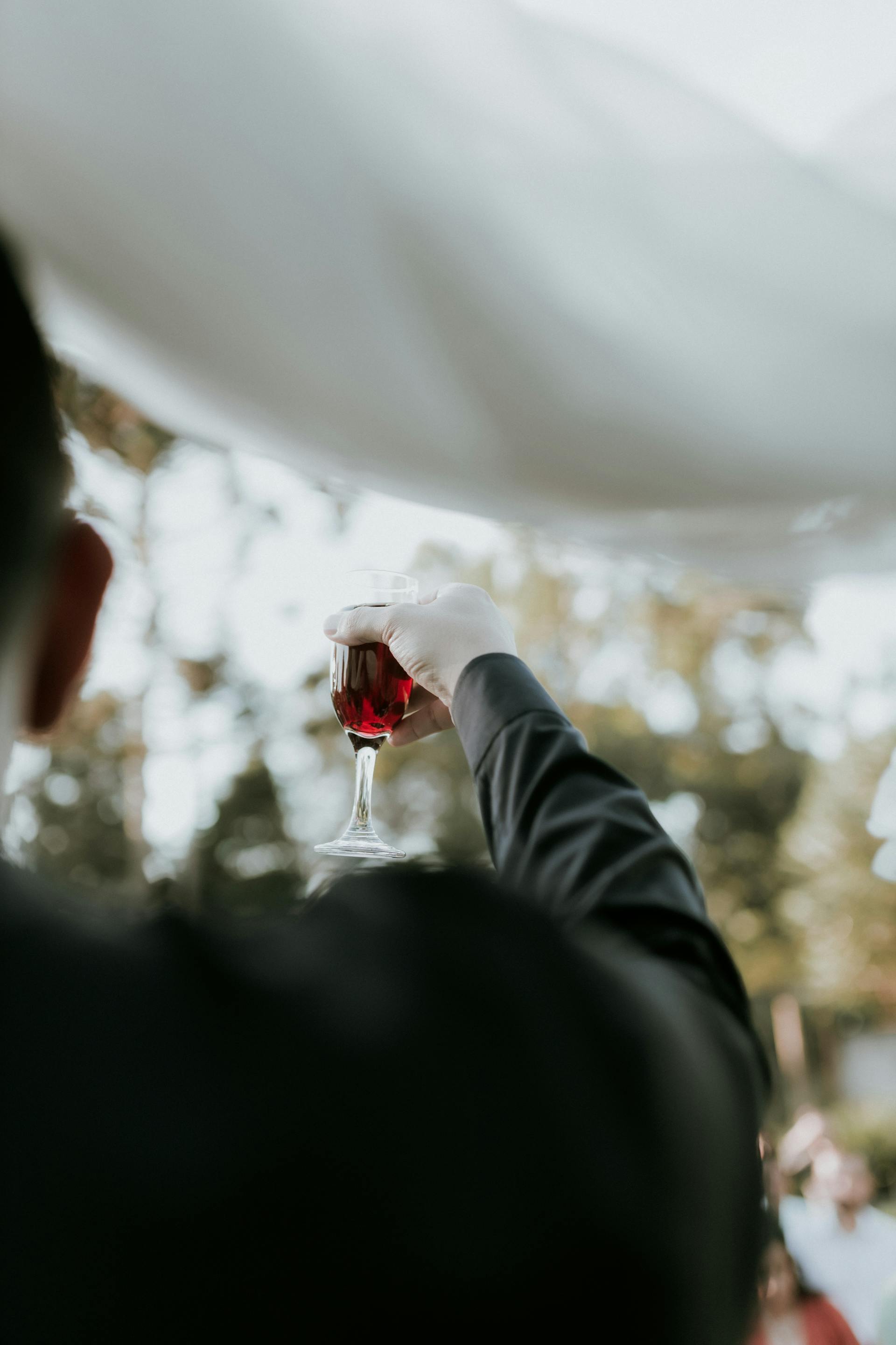 Gros plan sur un homme qui trinque avec du vin | Source : Pexels