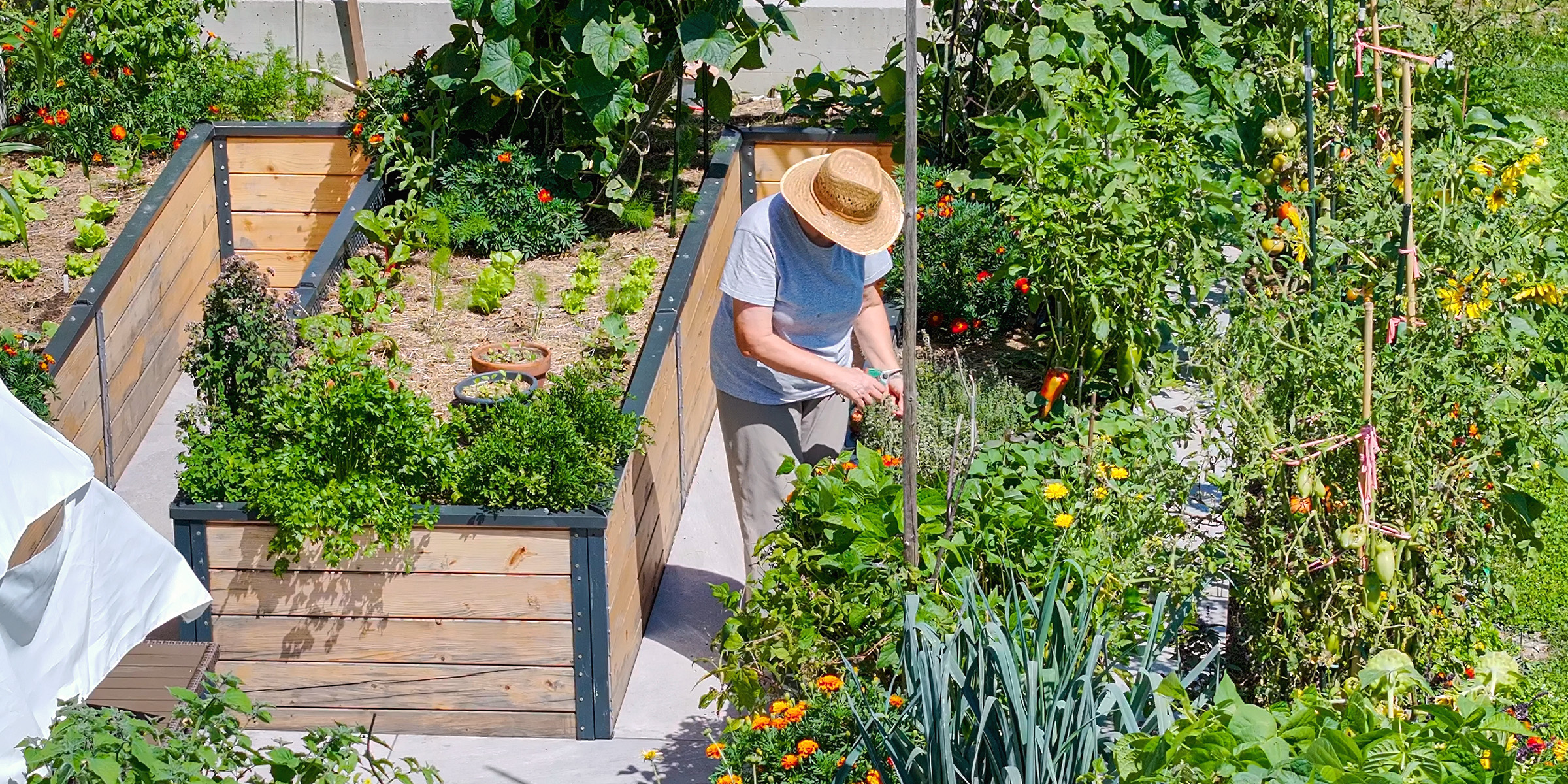 Une femme travaillant dans un jardin | Source : Shutterstock