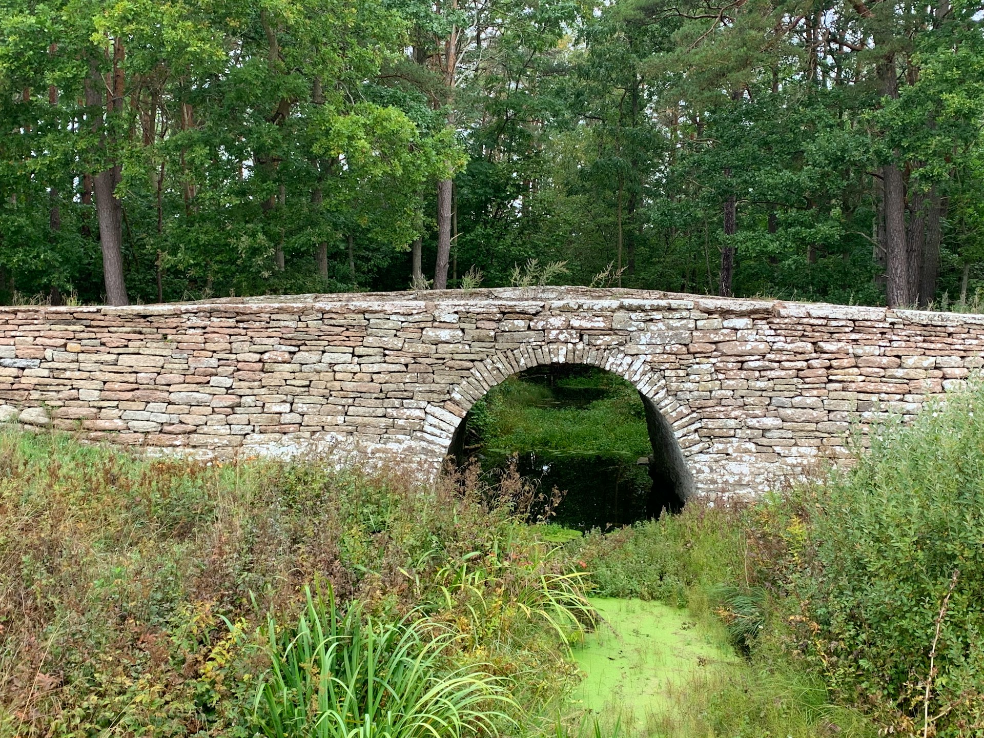 Un pont en pierre | Source : Unsplash