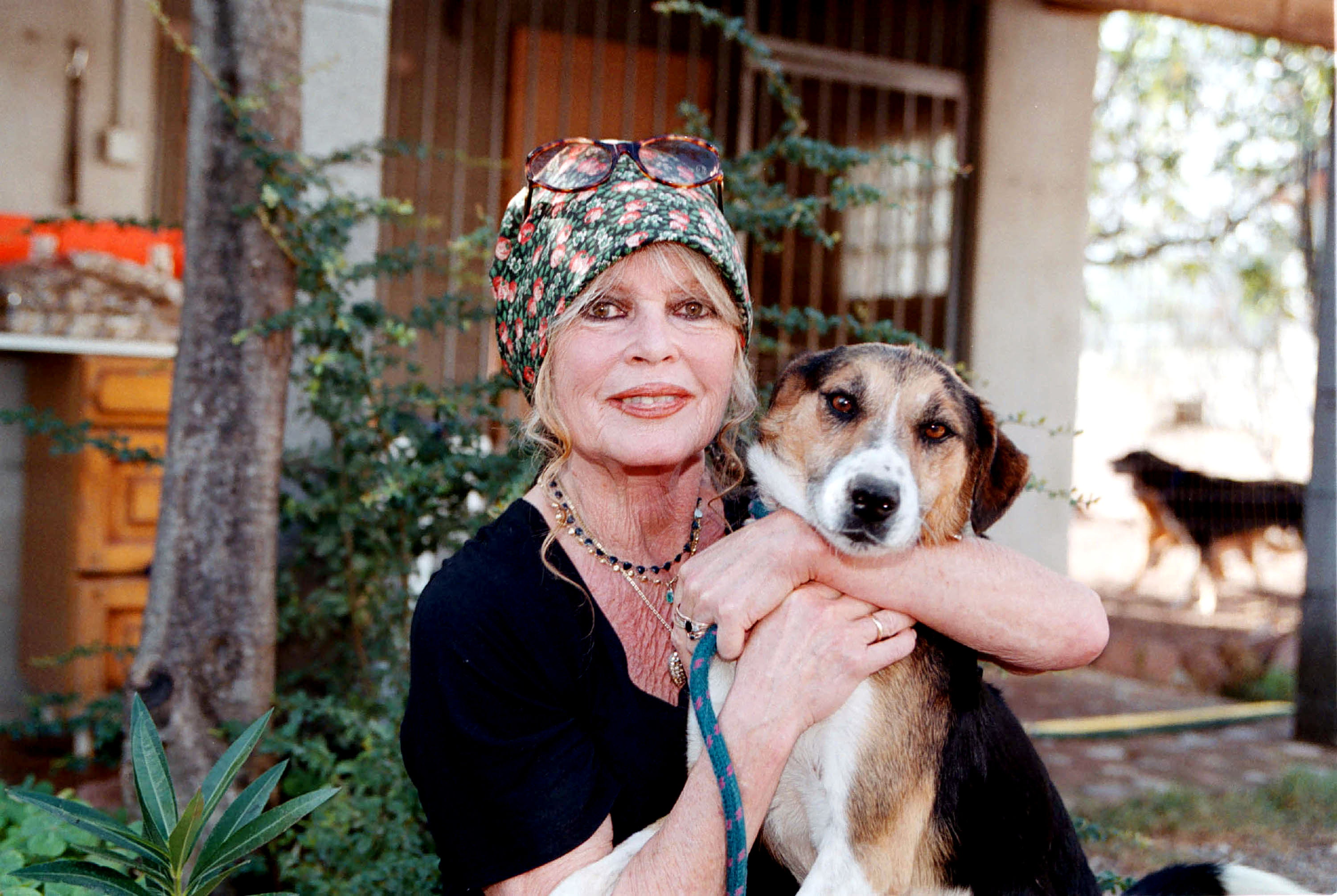 Brigitte Bardot dans son refuge pour chiens « Les Bons Chiens » à Paris, France, le 7 octobre 2001 | Source : Getty Images