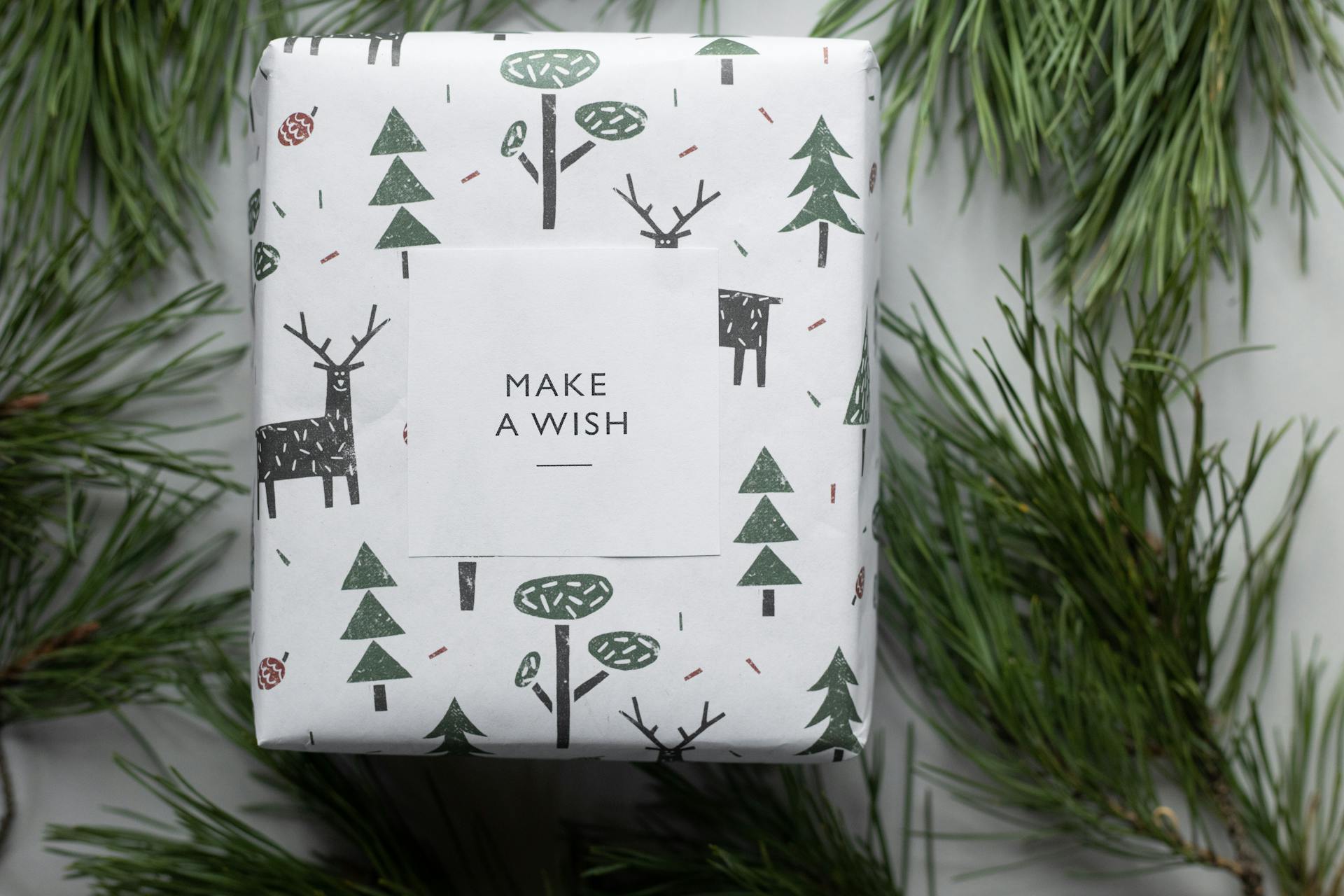Un cadeau | Source : Pexels
