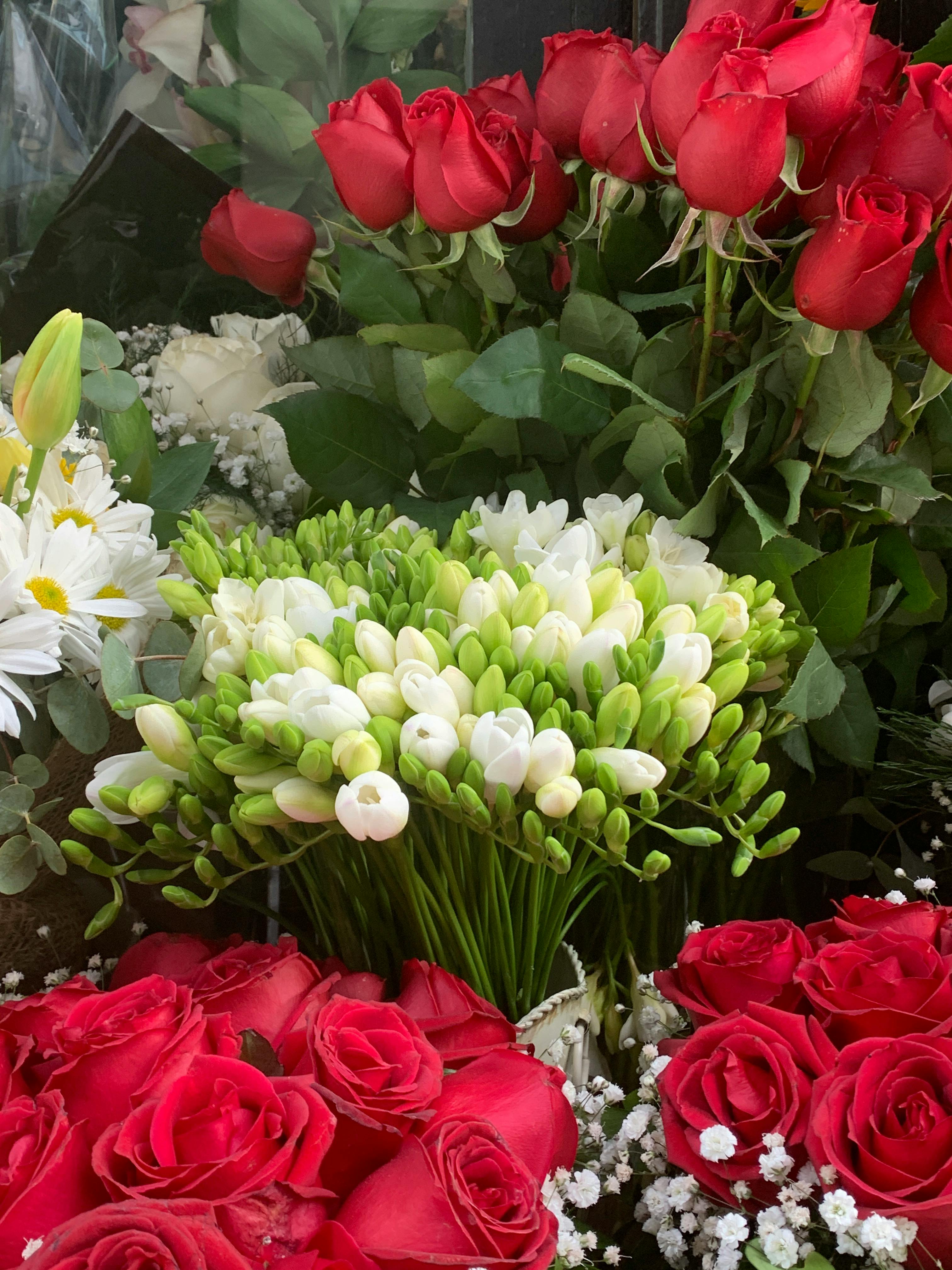 Roses et freesias chez un fleuriste | Source : Pexels