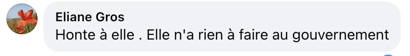 Commentaire d'une internaute concernant l'échange houleux entre Patrick Cohen et Rachida Dati | Source : Facebook/Le Dauphiné Libéré