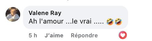 Capture d'écran du commentaire d'un internaute I Source : https://www.facebook.com/photo?fbid=1320863623410955&set=a.599051068925551