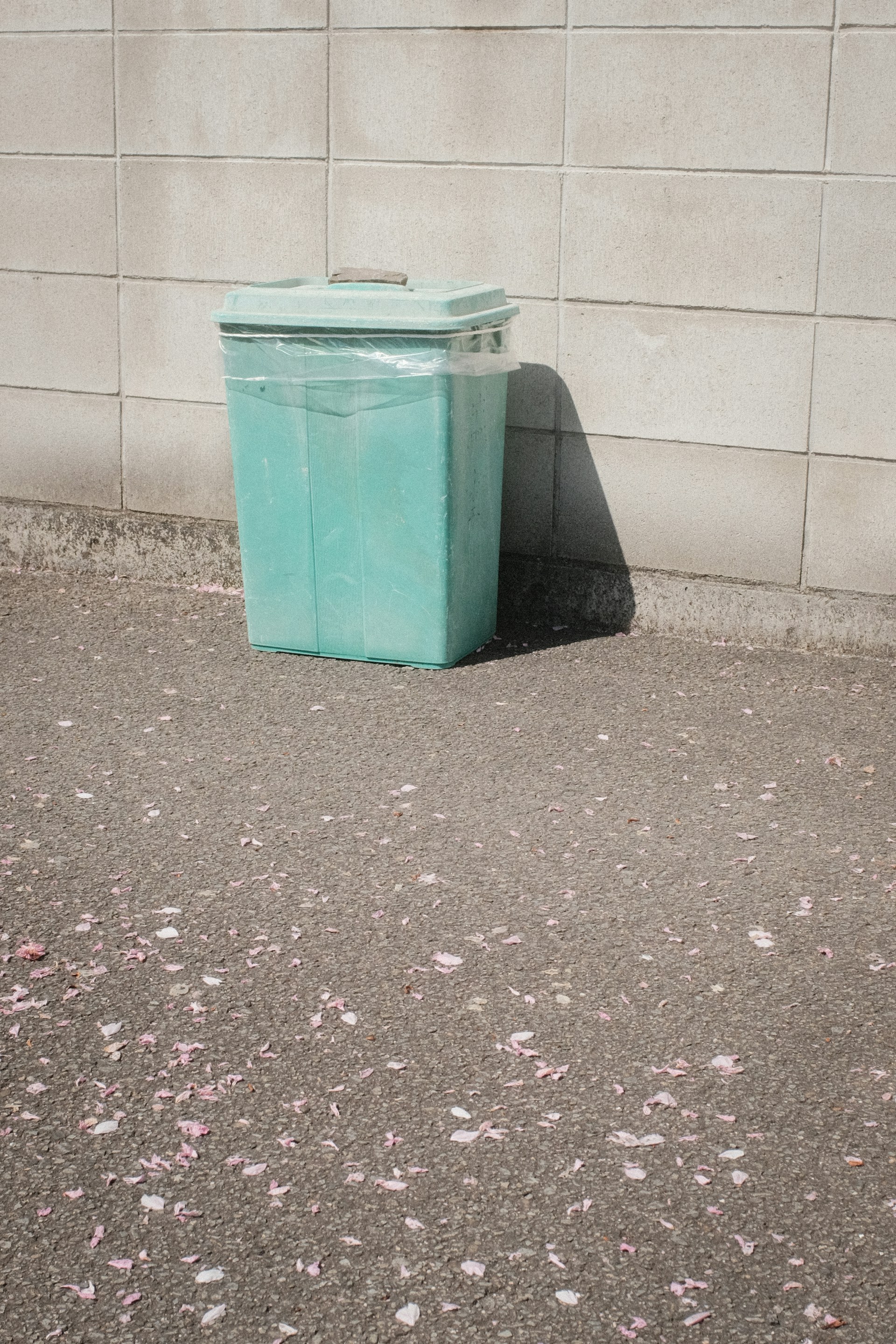 Une poubelle | Source : Unsplash