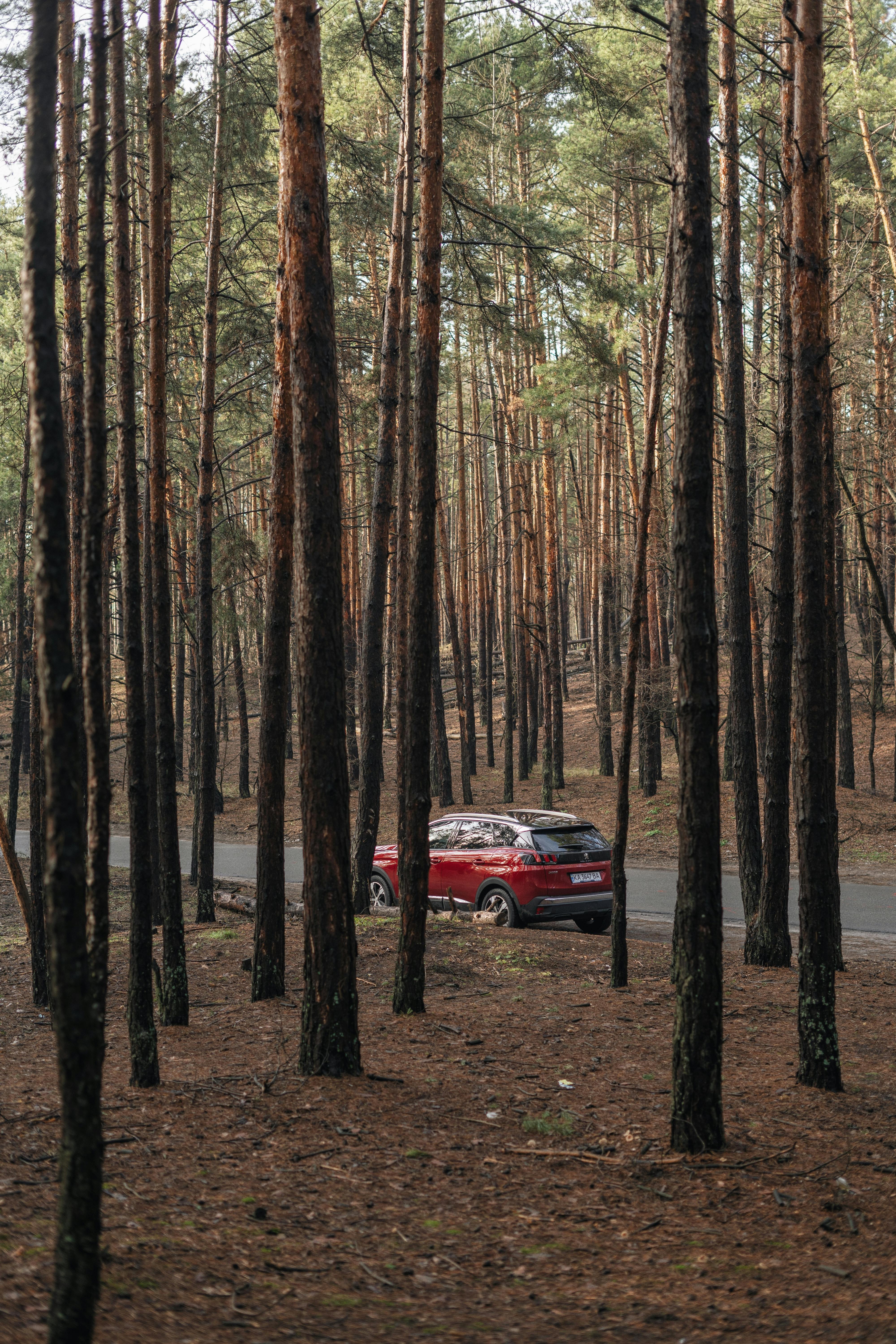 Une voiture qui roule | Source : Pexels