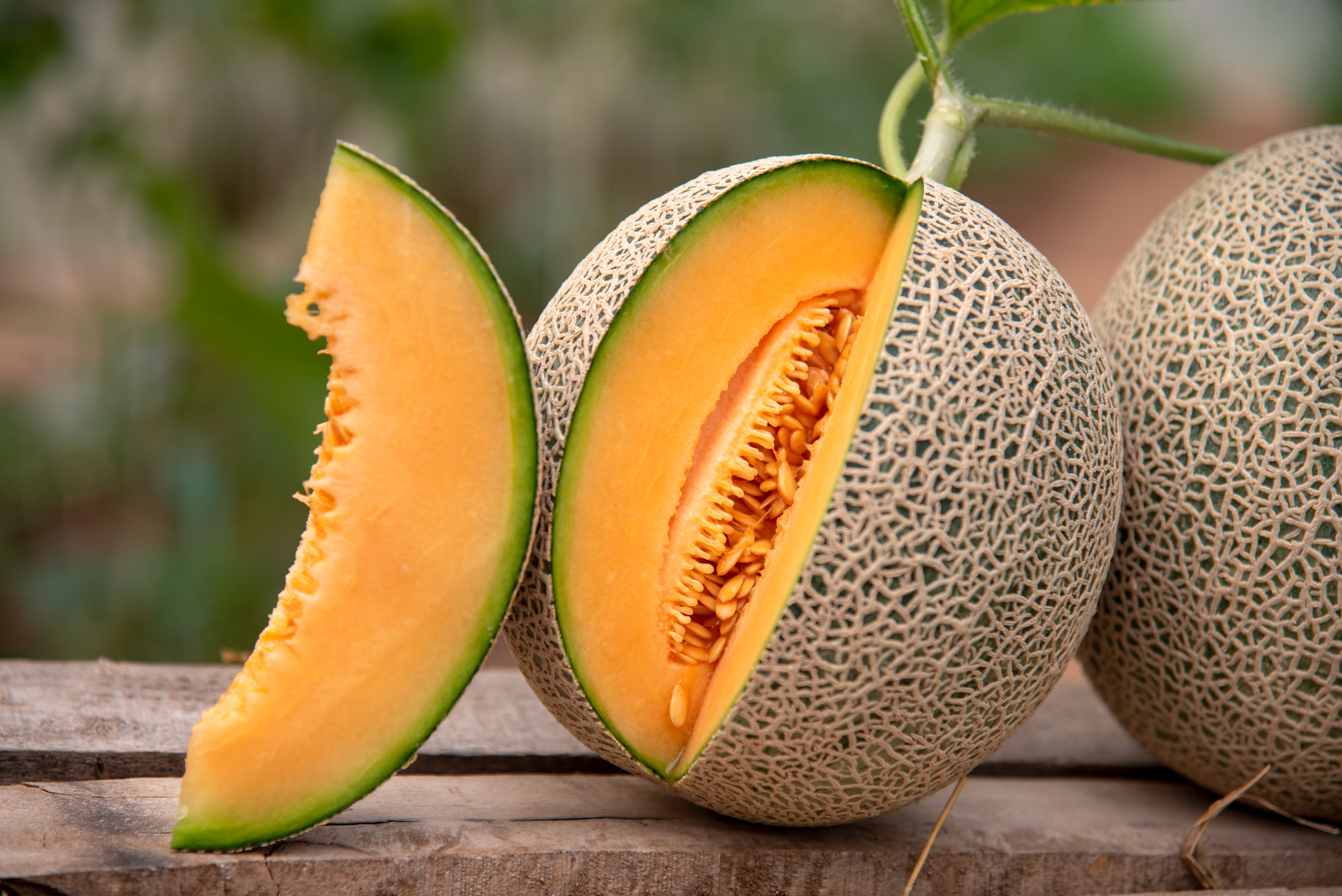 Des Melons | Source : Getty Images