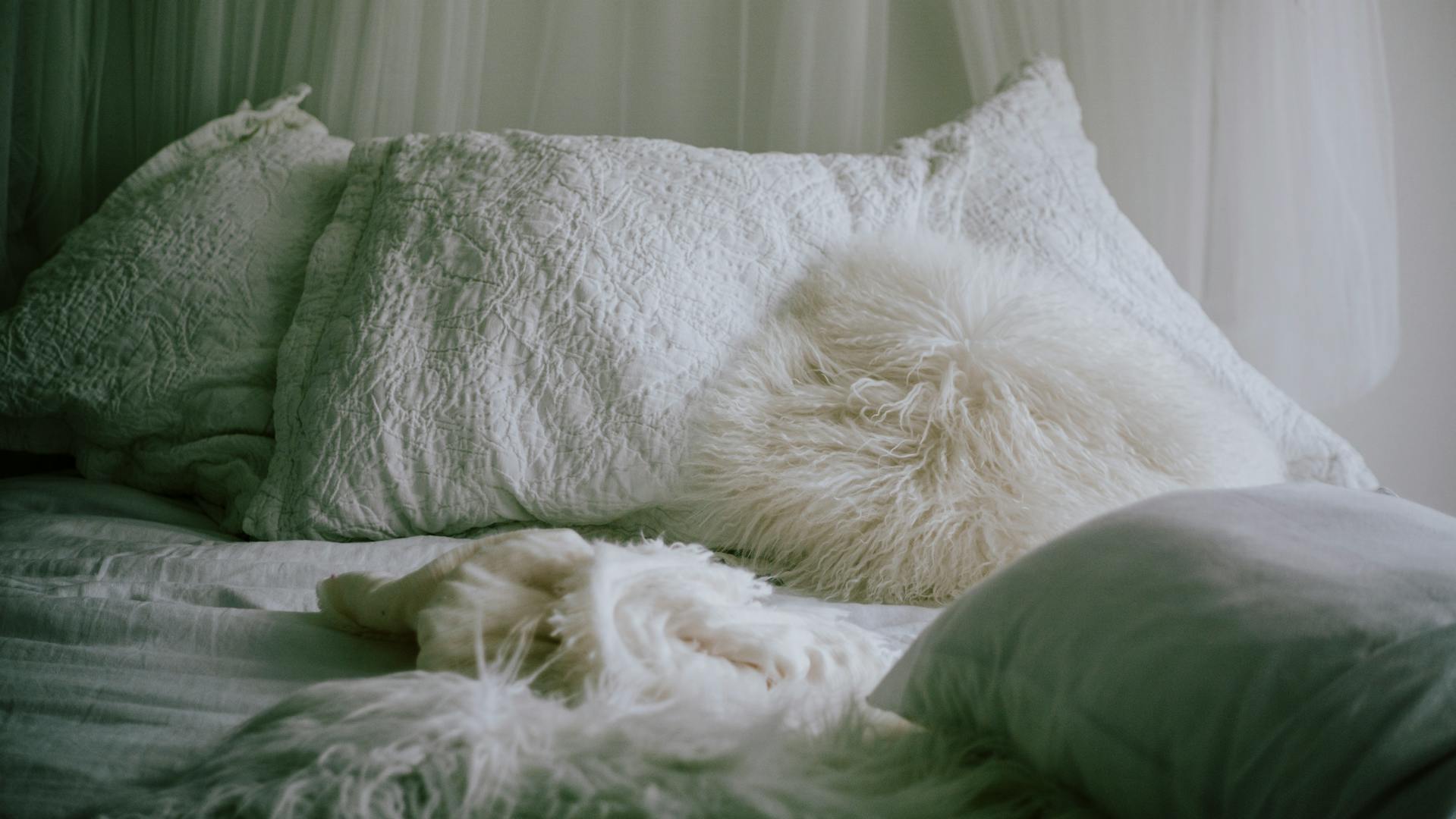 Un lit confortable | Source : Pexels
