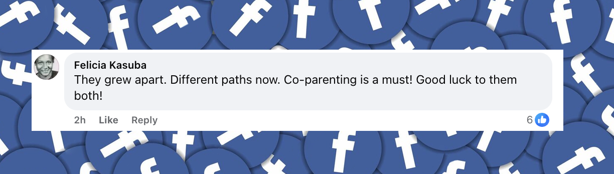Un commentaire de fan daté du 3 juillet 2025 | Source : Facebook/enews