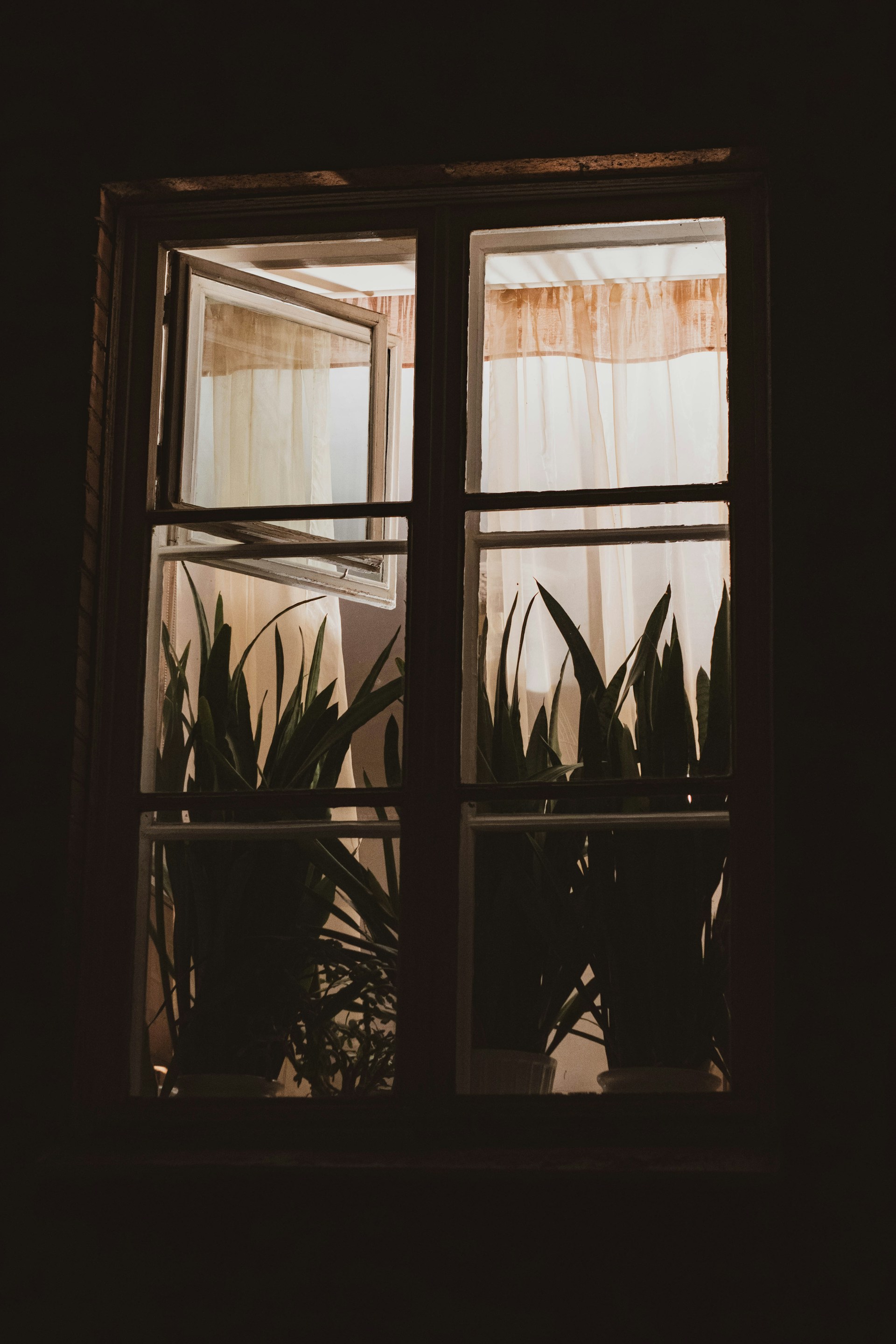 Une fenêtre | Source : Unsplash
