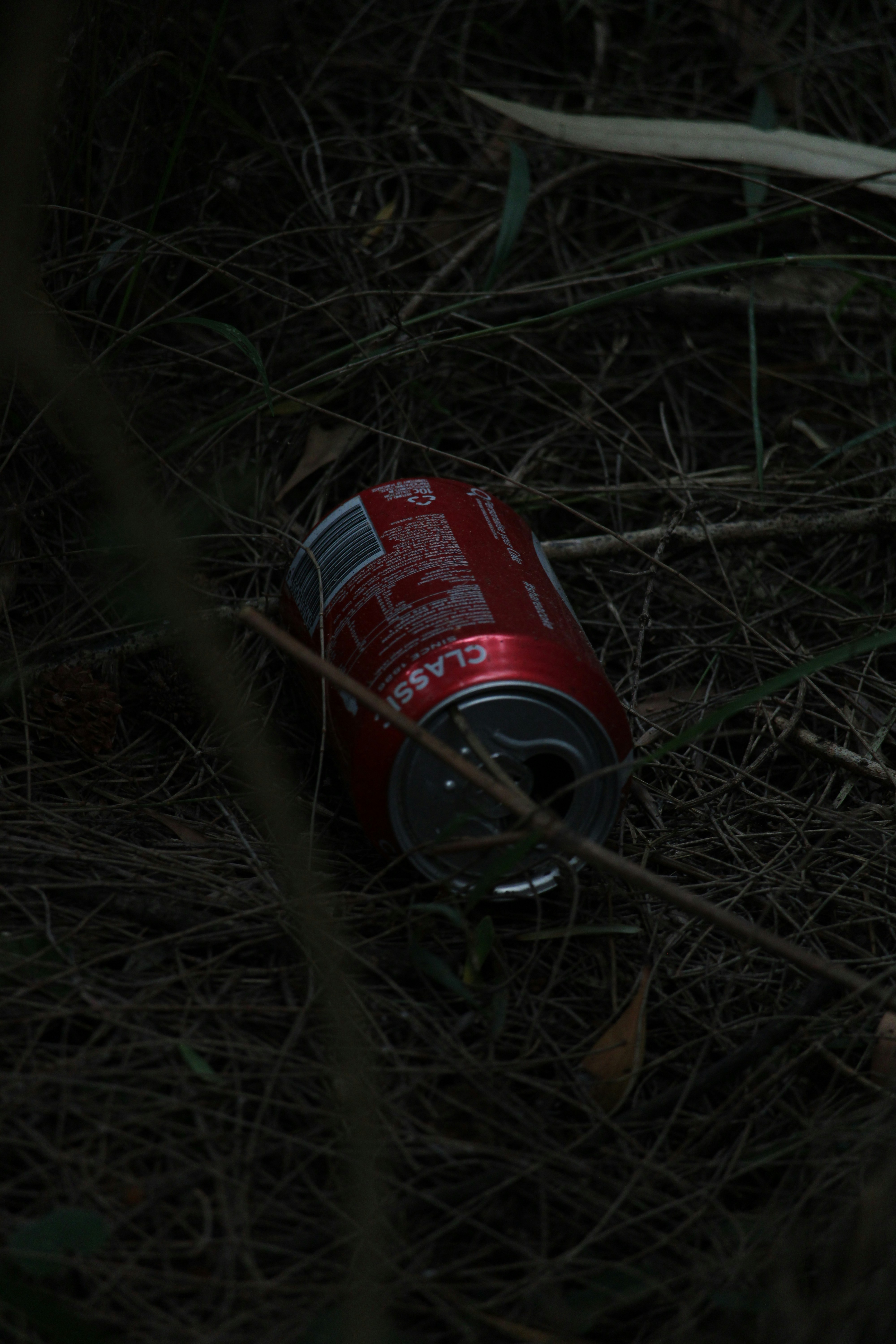 Une canette de soda vide posée dans l'herbe | Source : Unsplash