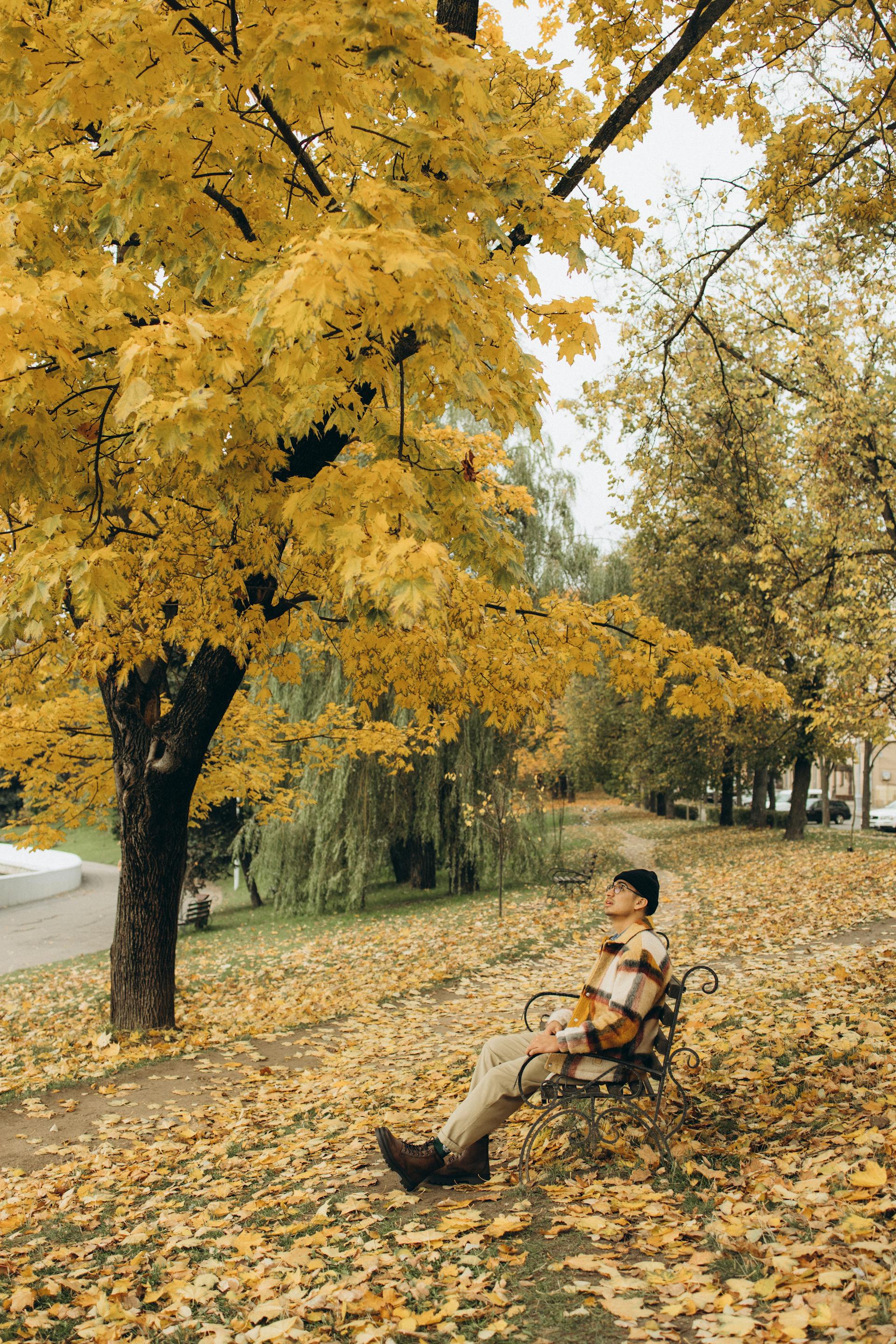 Jeune homme assis sur un banc dans un parc | Source : Pexels