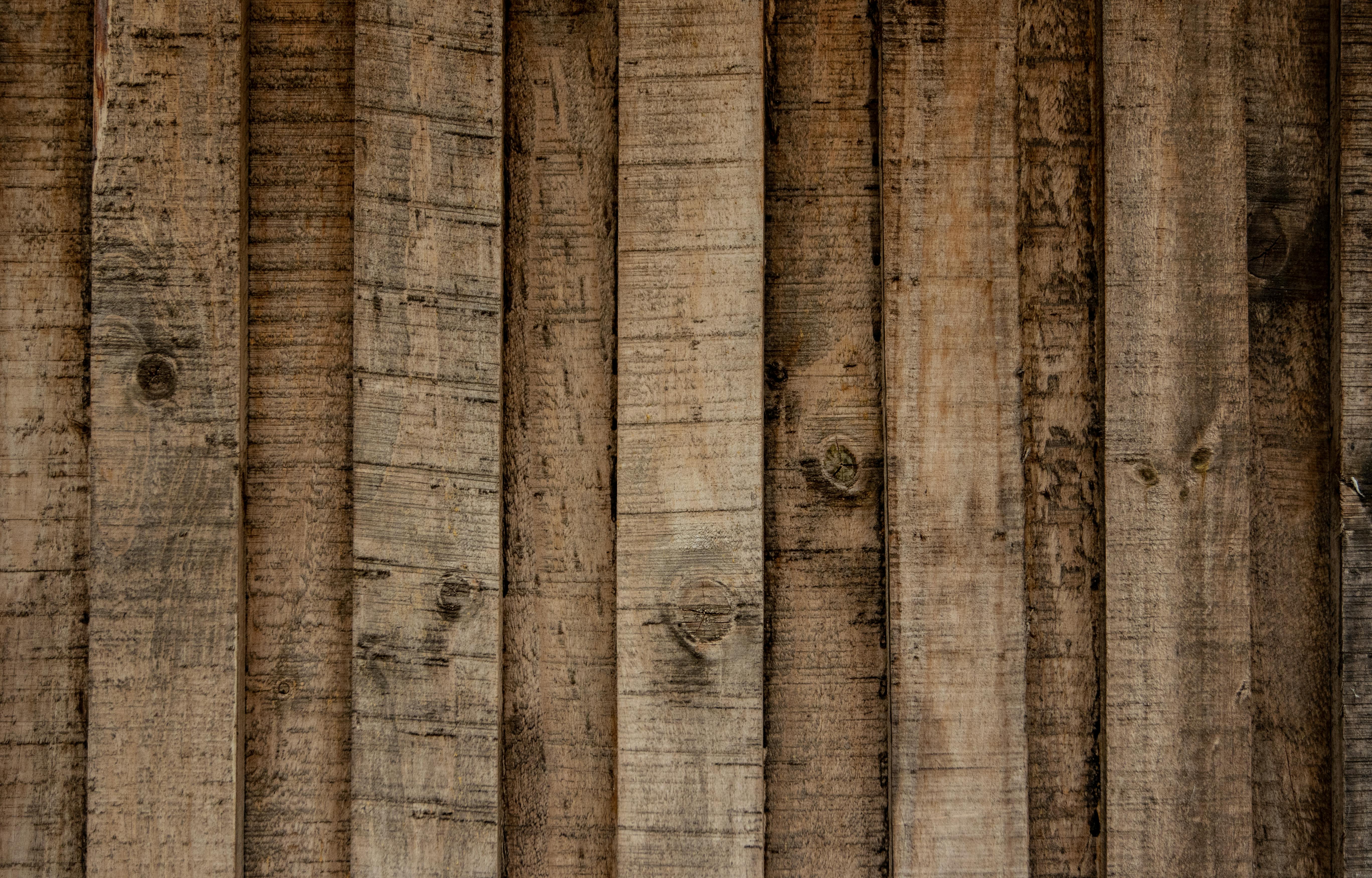 Panneaux muraux en bois | Source : Pexels