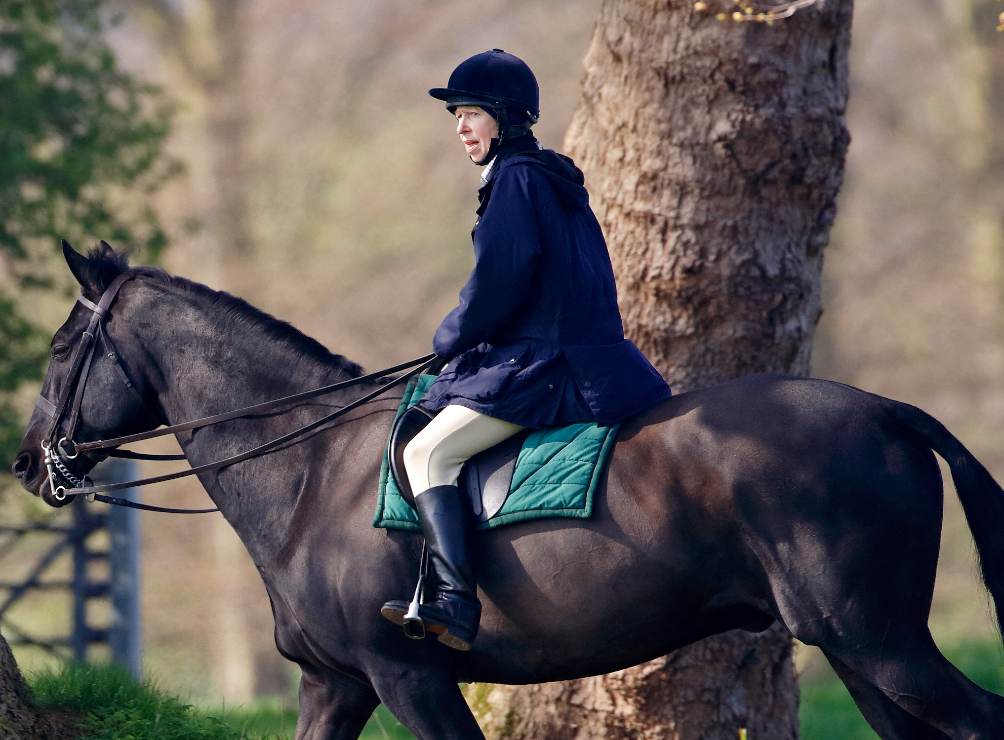 La princesse Anne fait de l'équitation dans le parc du château de Windsor, le 22 avril 2006, à Windsor, en Angleterre. | Source : Getty Images