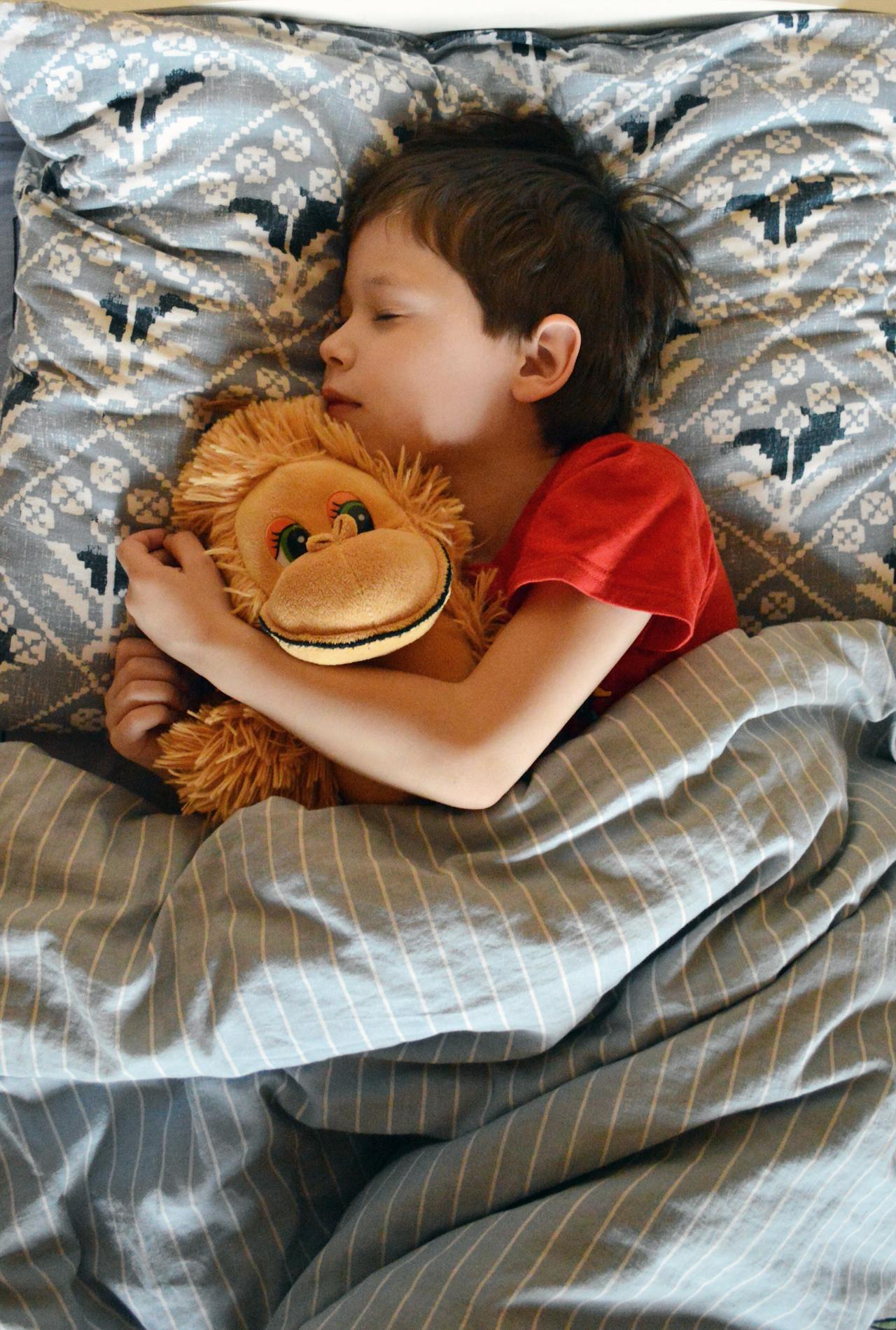 Un petit garçon qui fait un câlin à sa peluche et qui dort dans sa chambre | Source : Pexels