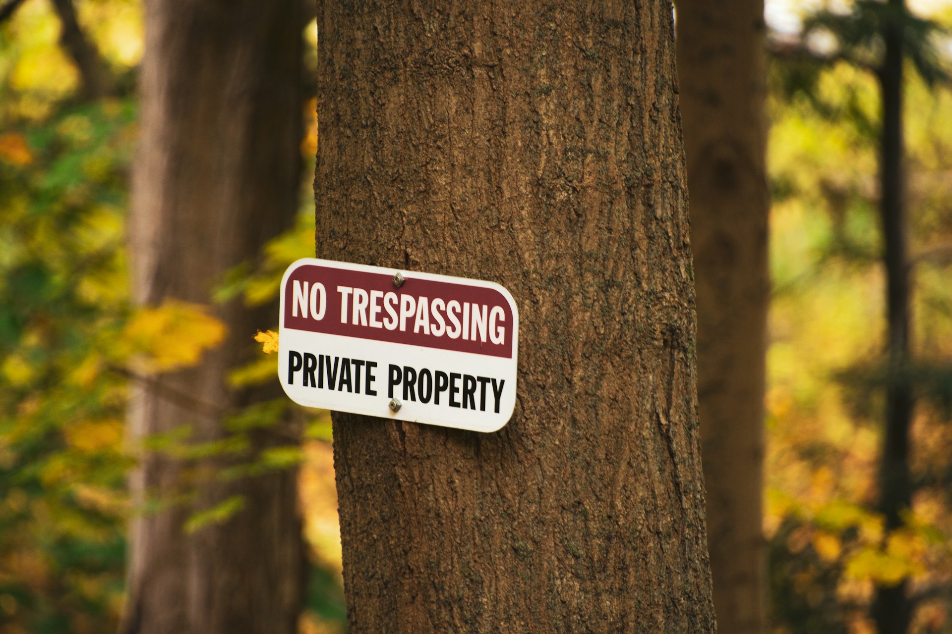 Un panneau d'avertissement cloué à un arbre | Source : Unsplash
