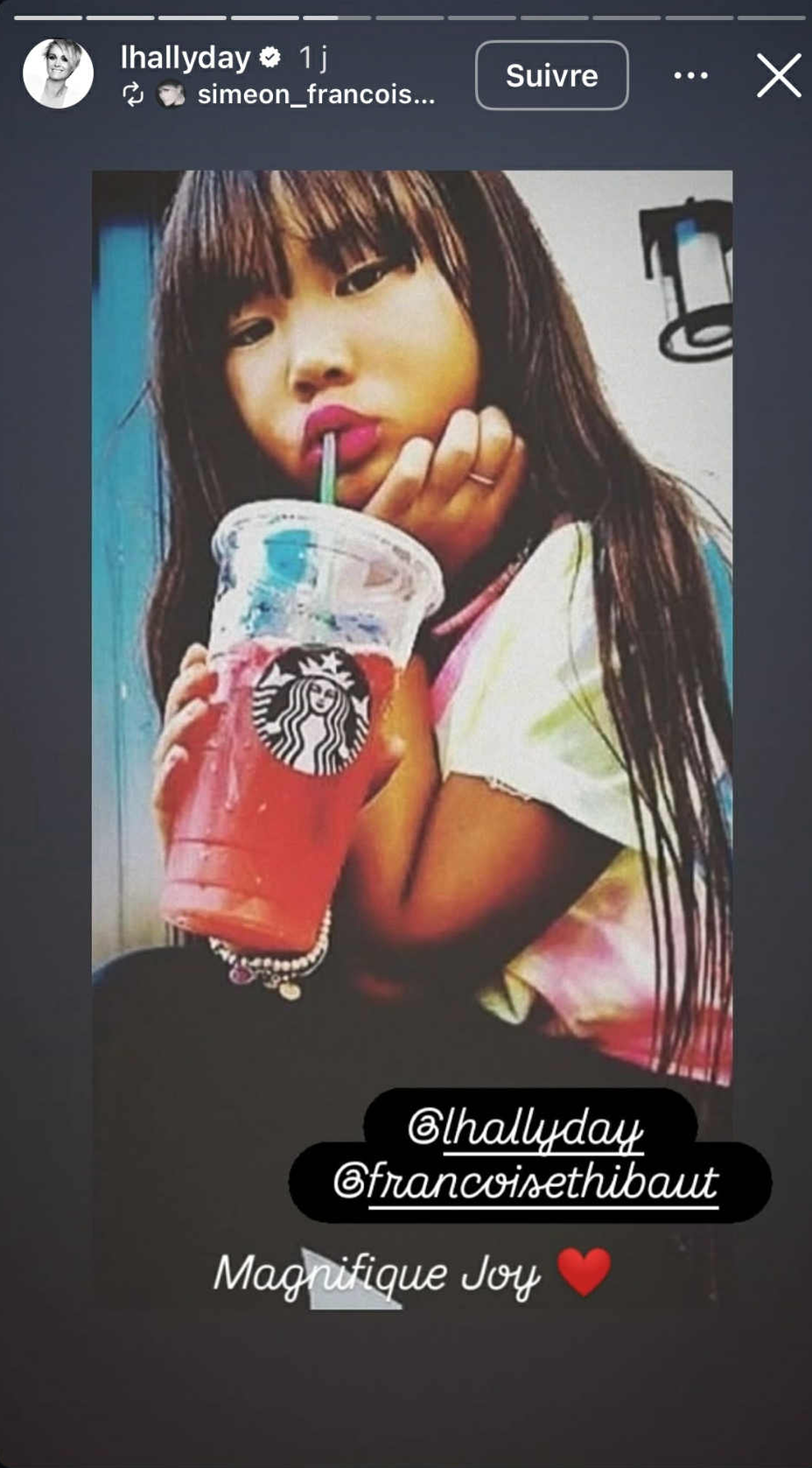 Capture d'écran d'une story : Source instagram.com/lhallyday/?hl=fr