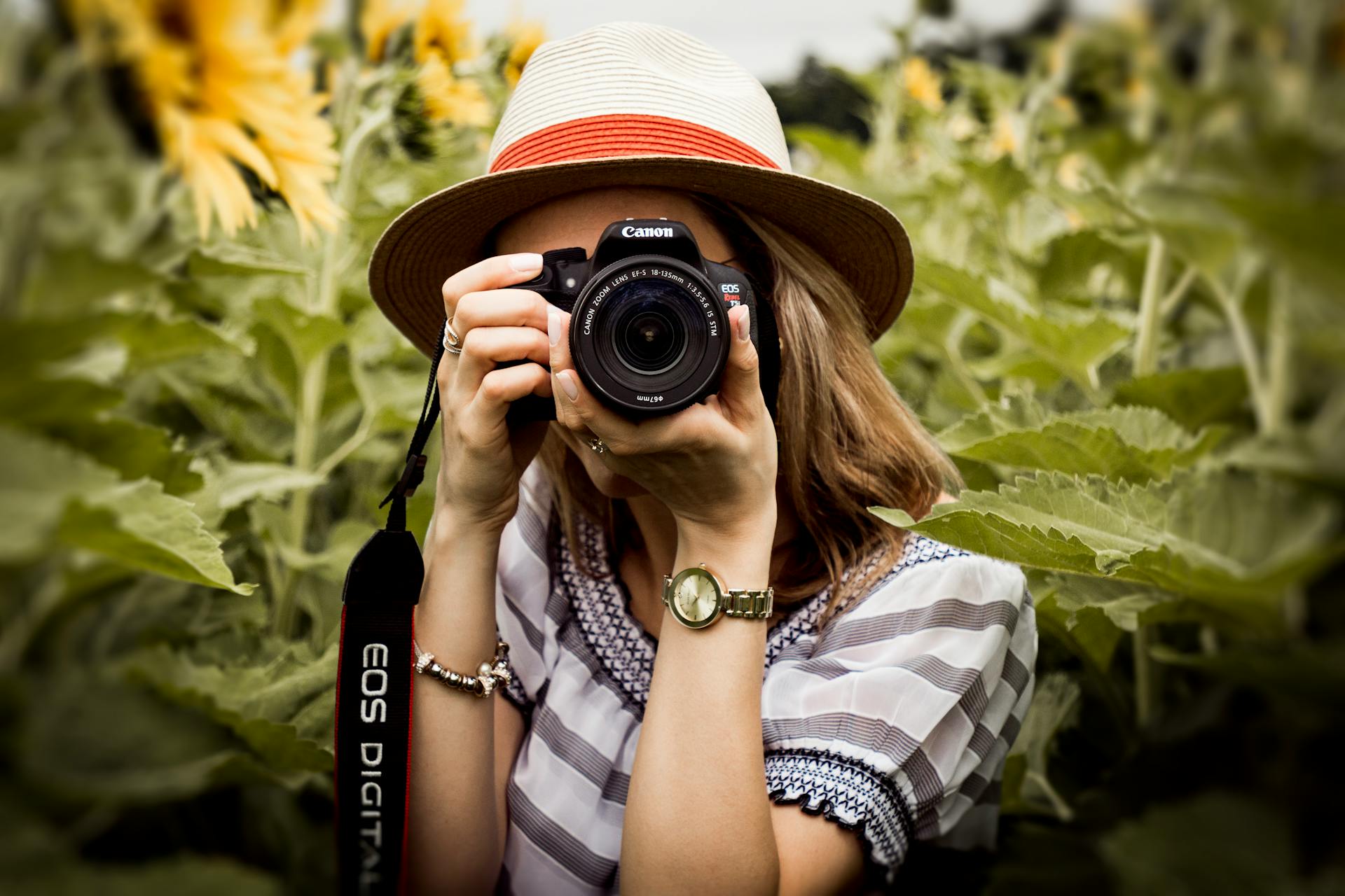 Un photographe dans un champ de tournesols | Source : Pexels