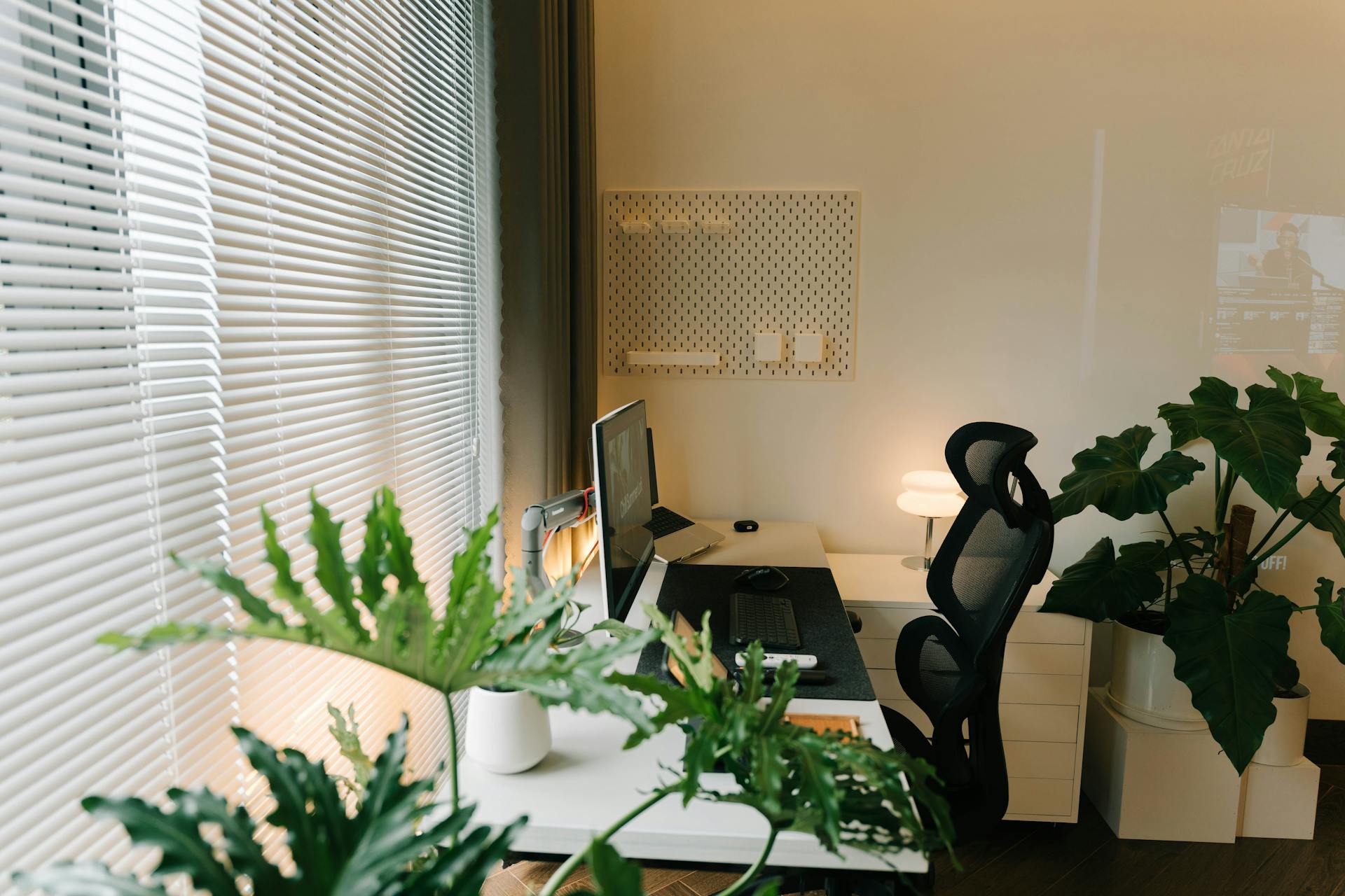 Plantes dans un bureau | Source : Pexels