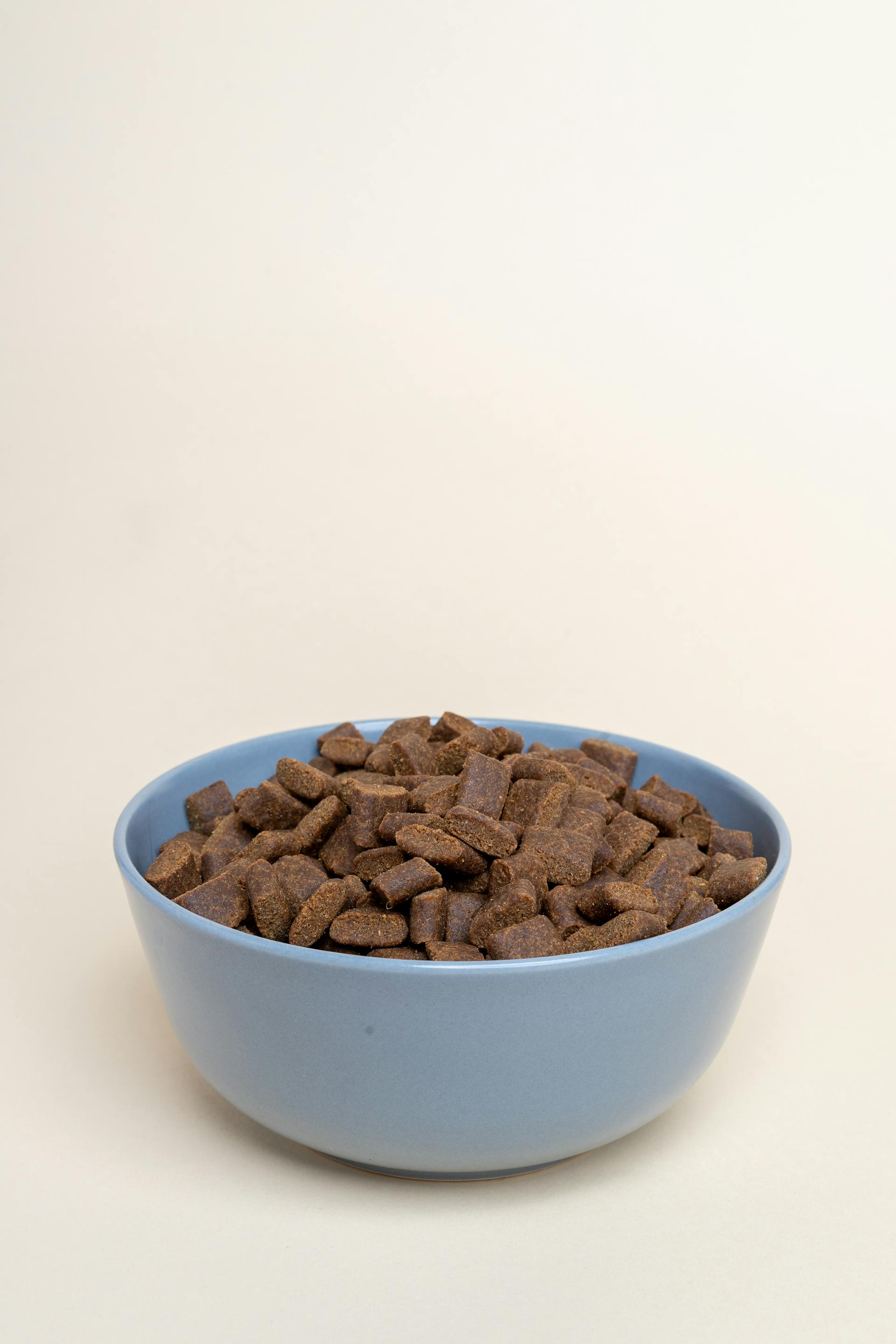 Nourriture pour chat dans un bol | Source : Pexels