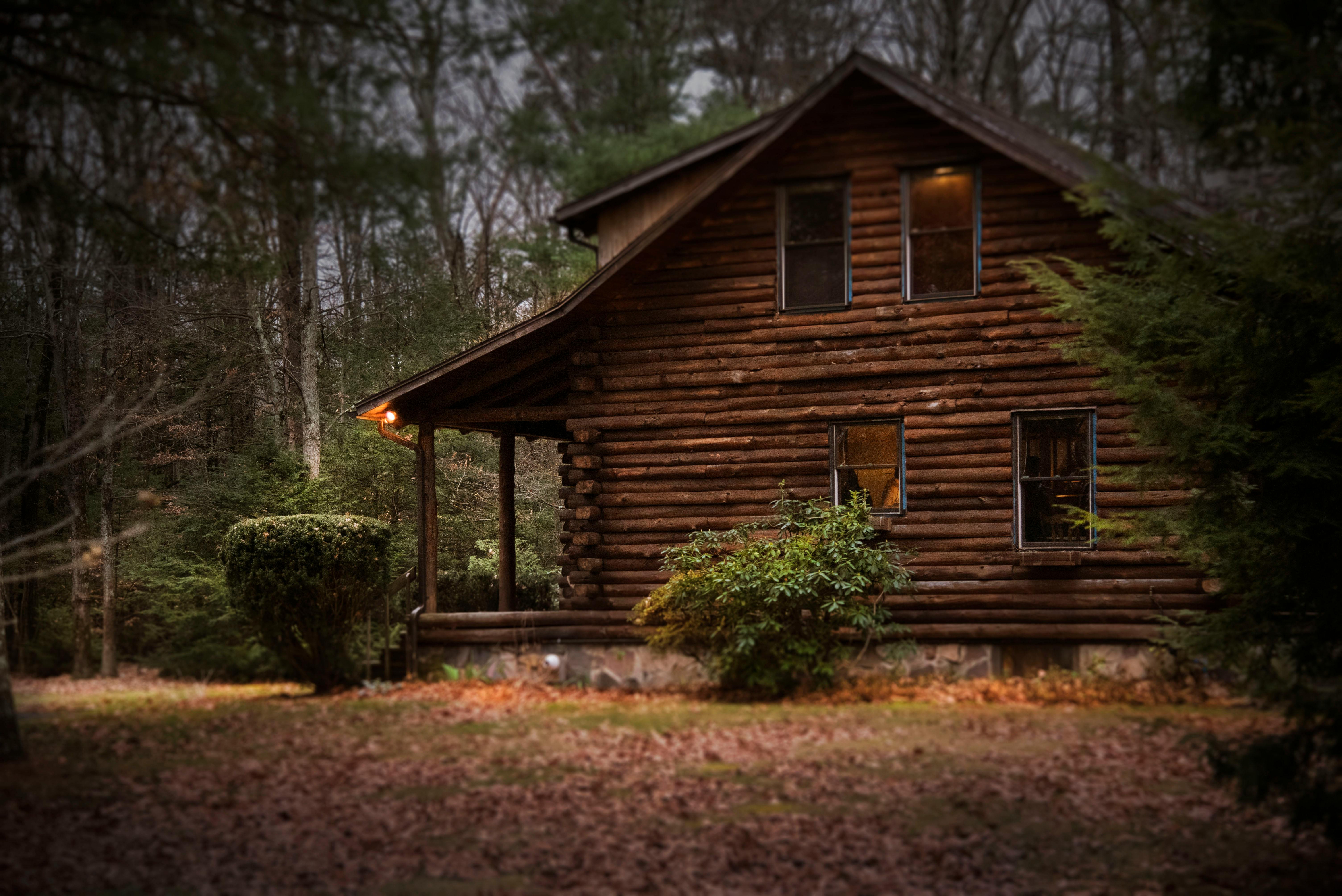 Une cabane dans les bois | Source : Pexels