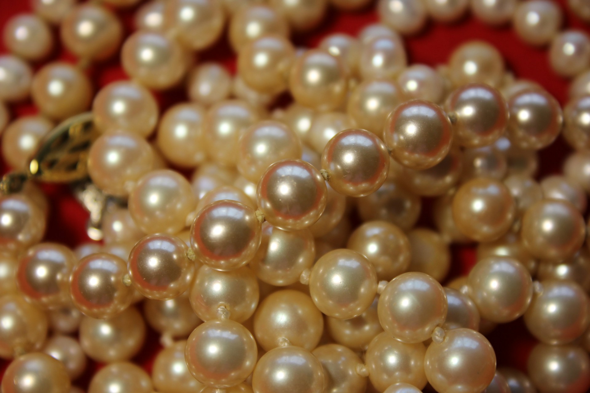 Gros plan sur des perles | Source : Unsplash