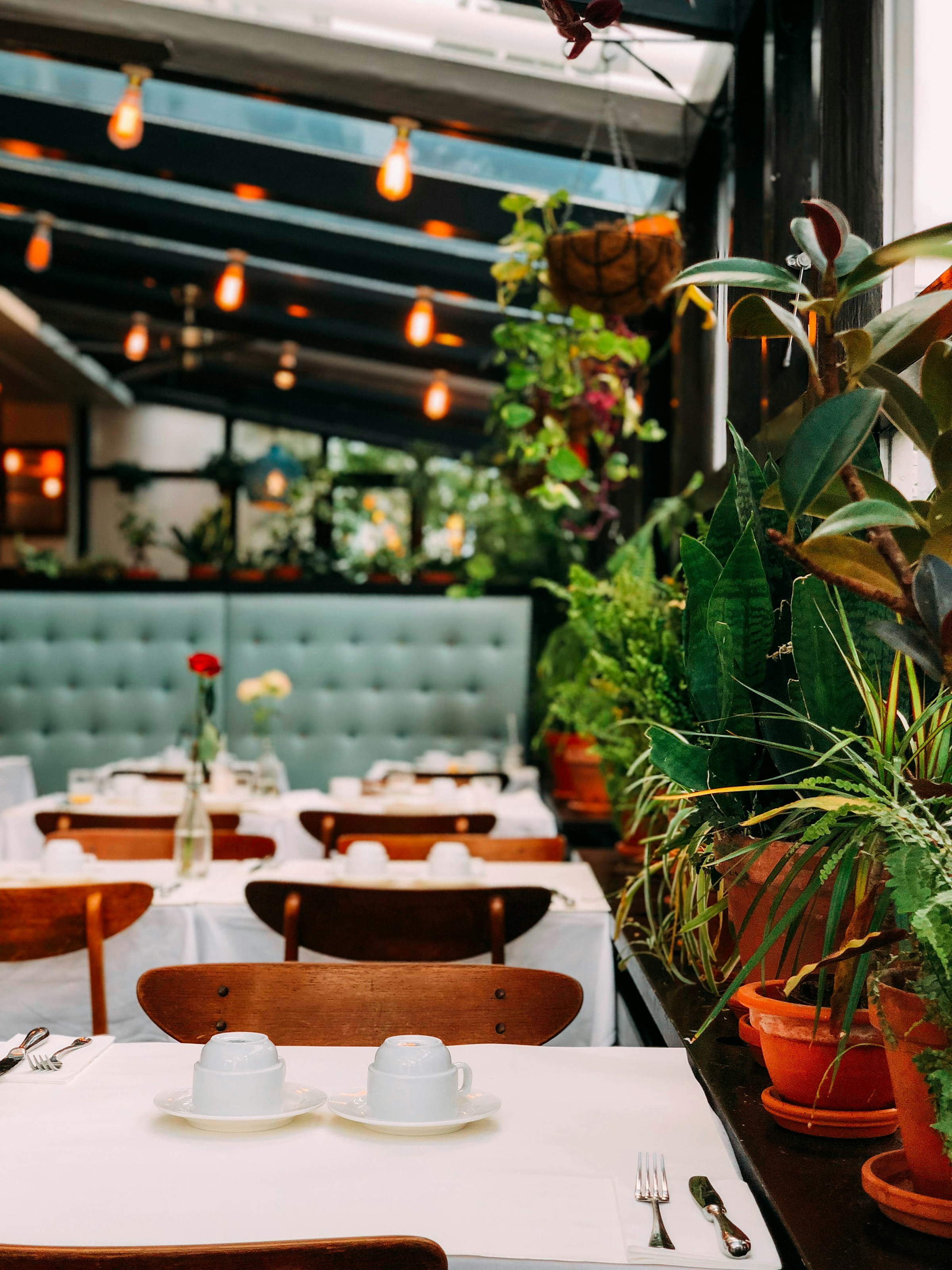 L'intérieur d'un restaurant haut de gamme | Source : Unsplash