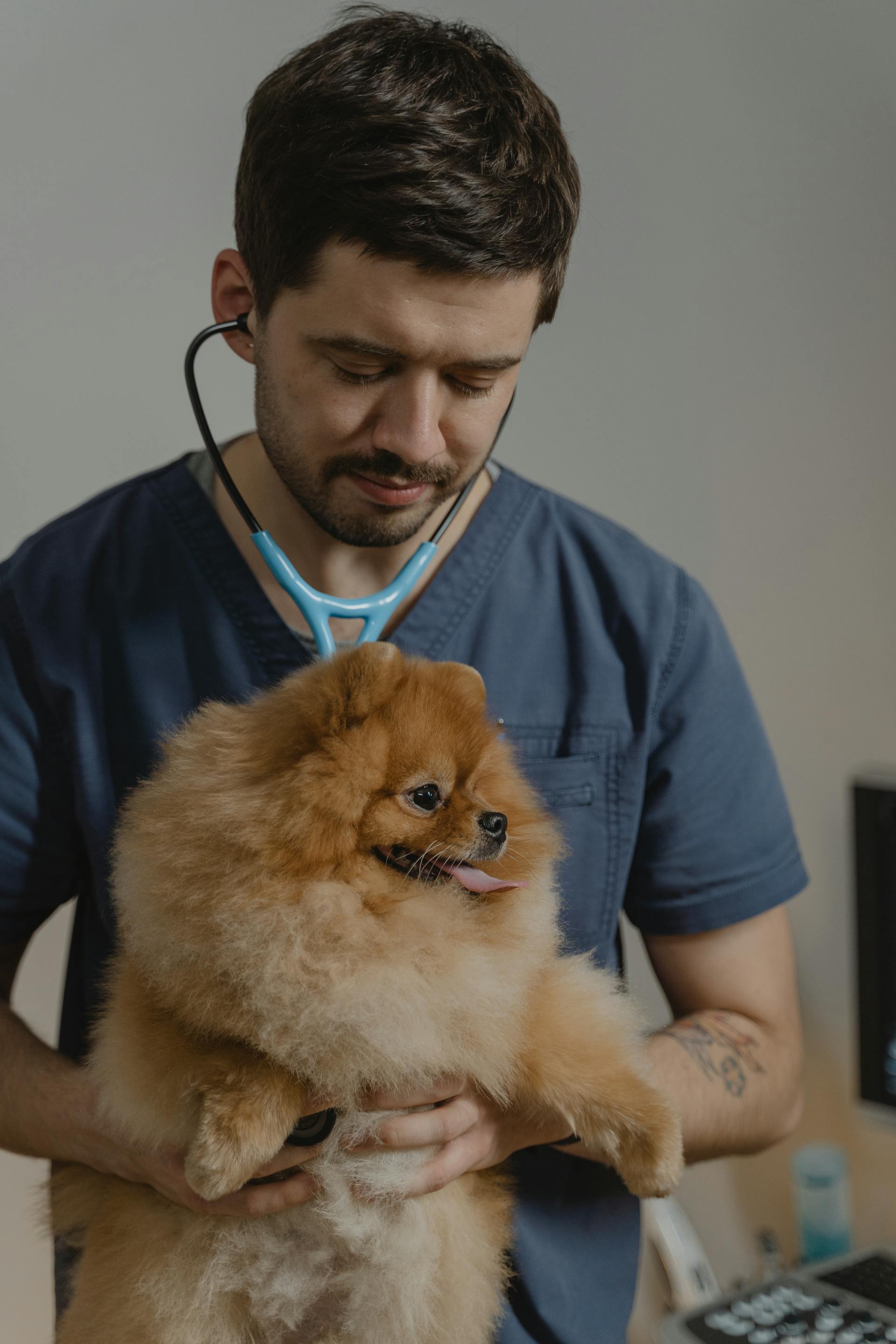 Un vétérinaire tenant un chien | Source : Pexels