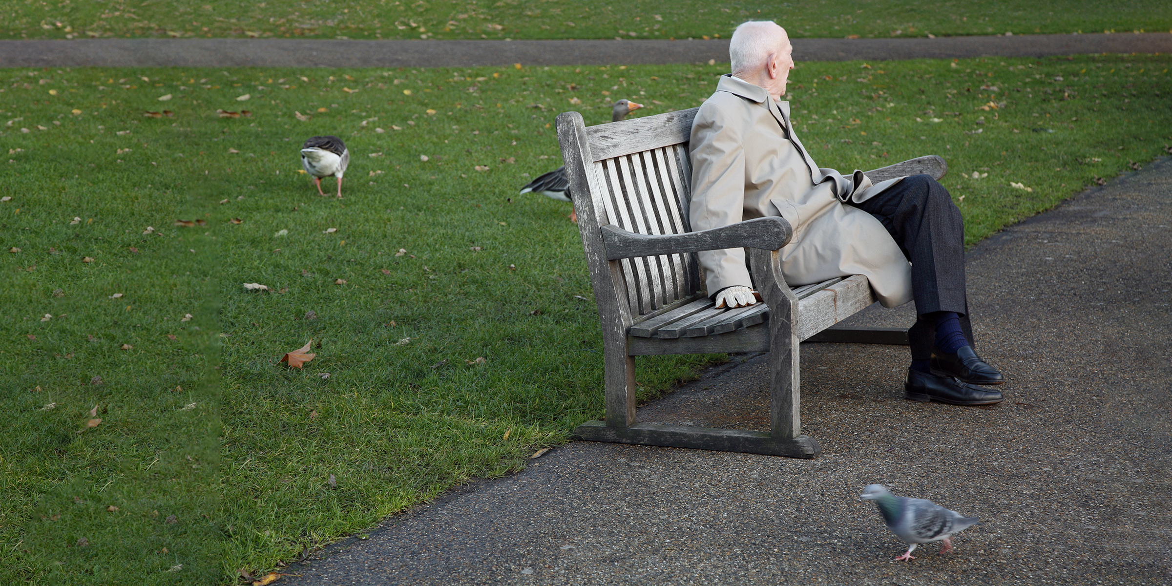 Un vieil homme assis sur un banc | Source : Shutterstock