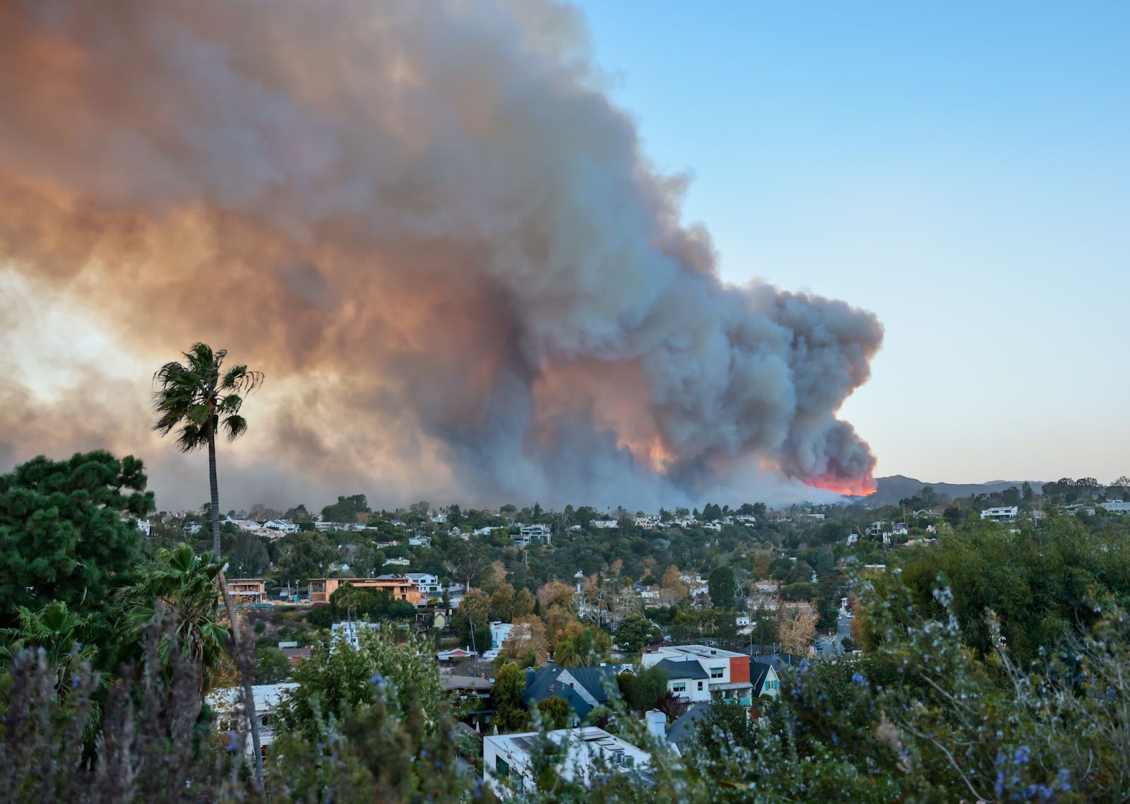 Fumée envahissant le ciel, vue depuis le quartier Pacific Palisades de Los Angeles, en Californie, le 7 janvier 2025. | Source : Getty Images