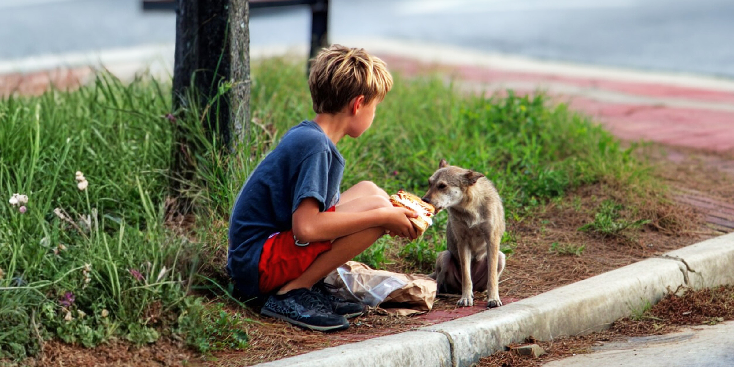 Un garçon donne à manger à un chien | Source : Midjourney