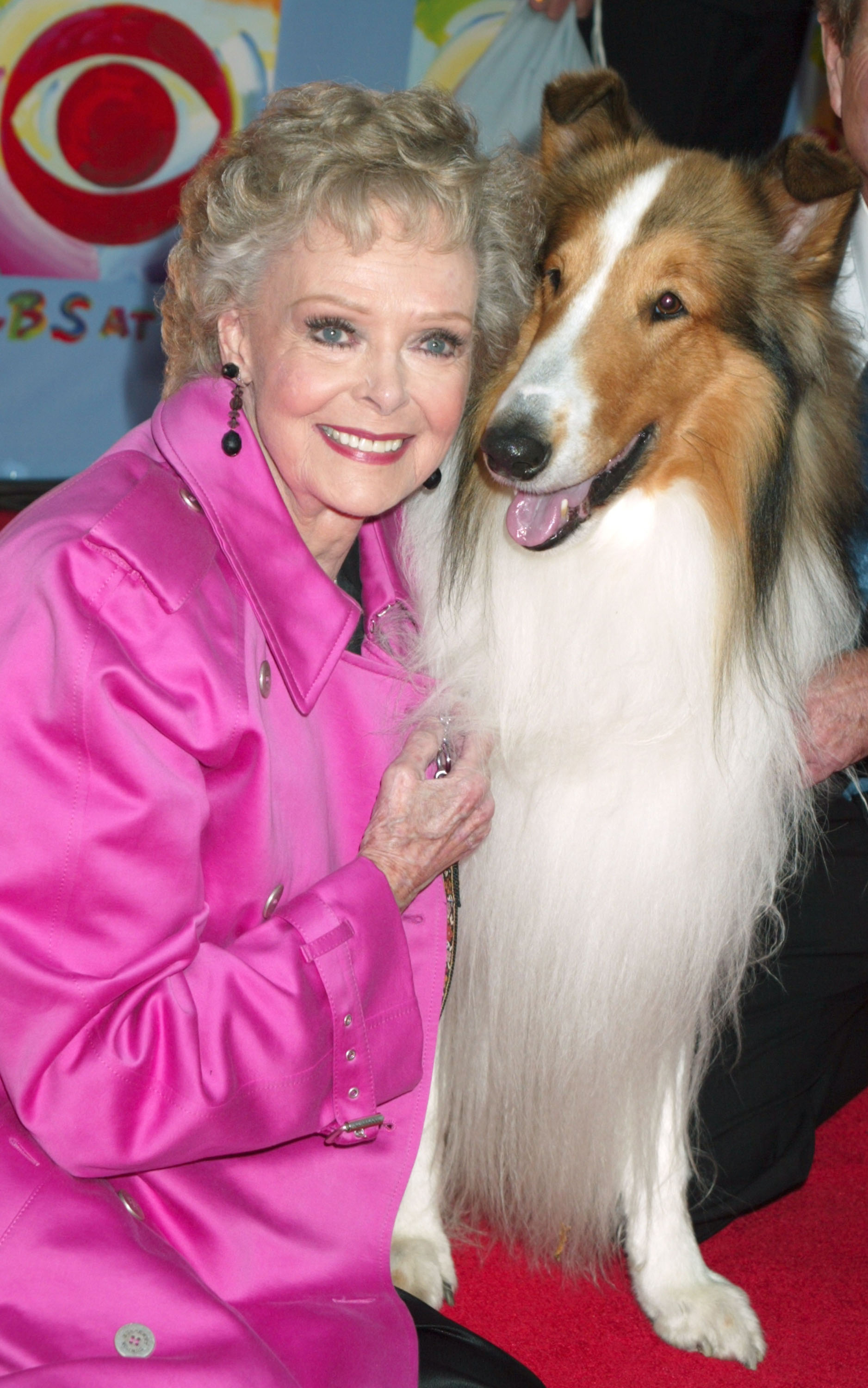 June Lockhart, qui a joué dans la série télévisée « Lassie », pose avec Lassie lors du 75e anniversaire de CBS, le 2 novembre 2003. | Source : Getty Images