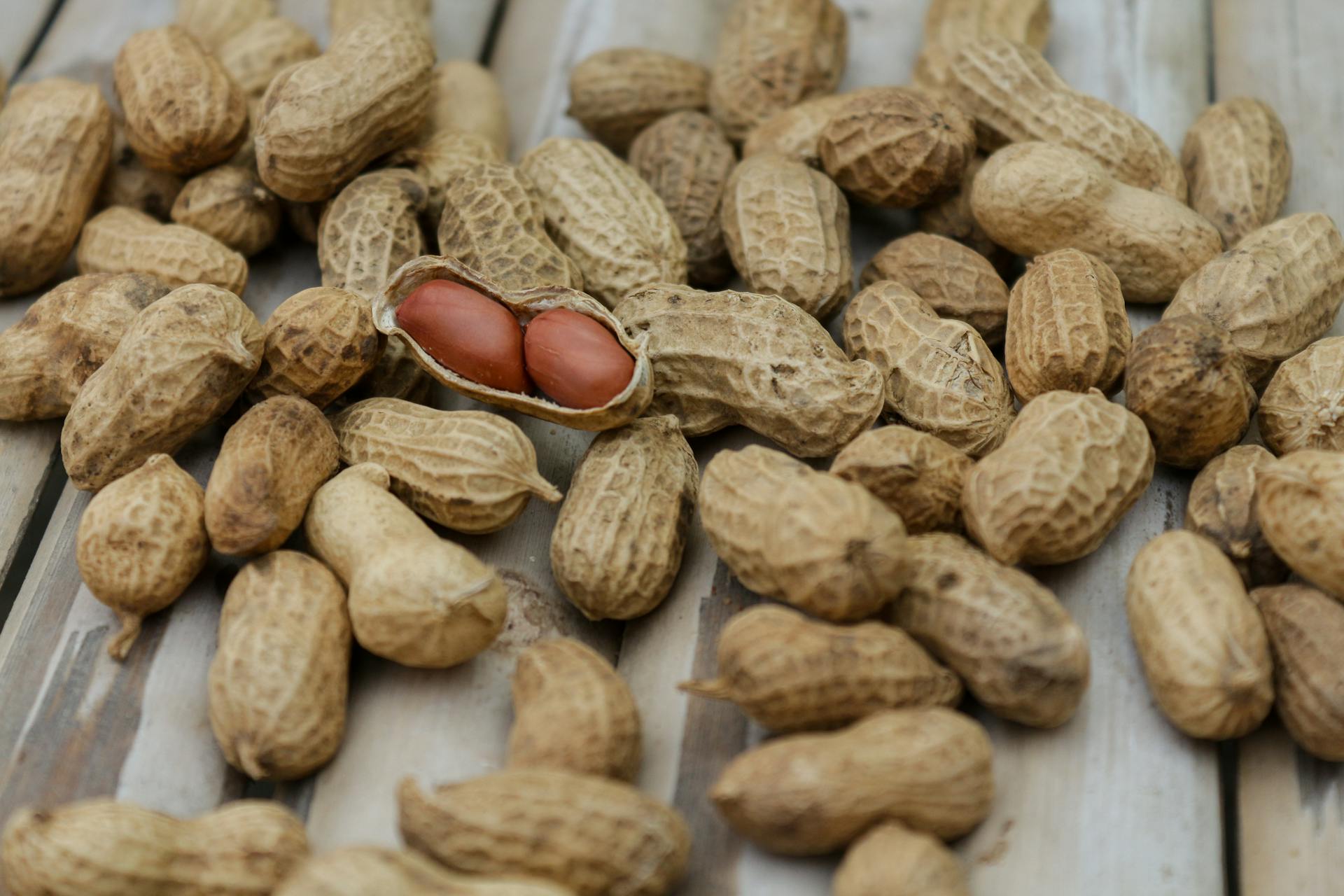 Gros plan sur des cacahuètes | Source : Pexels