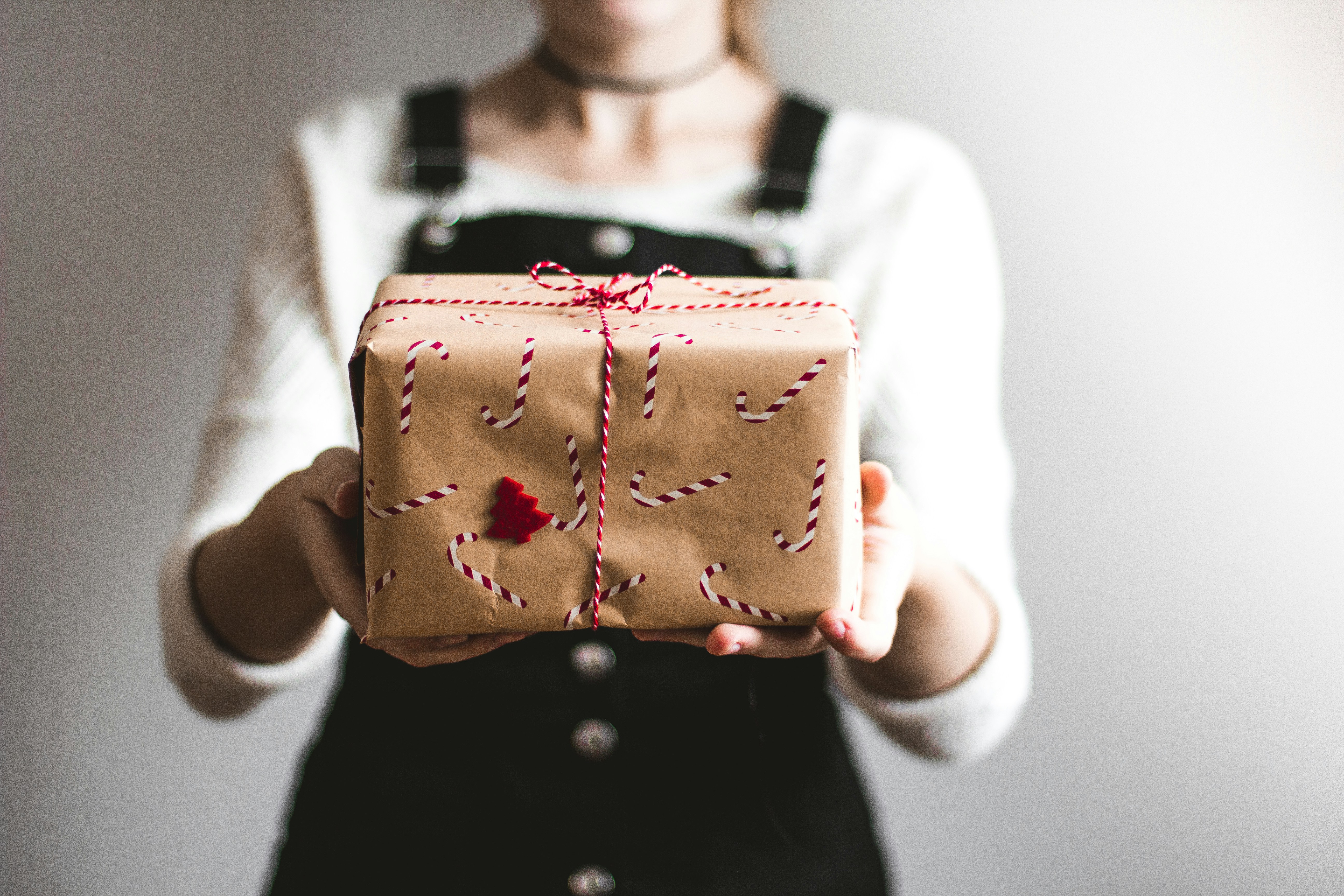 Une personne tenant un paquet cadeau | Source : Pexels