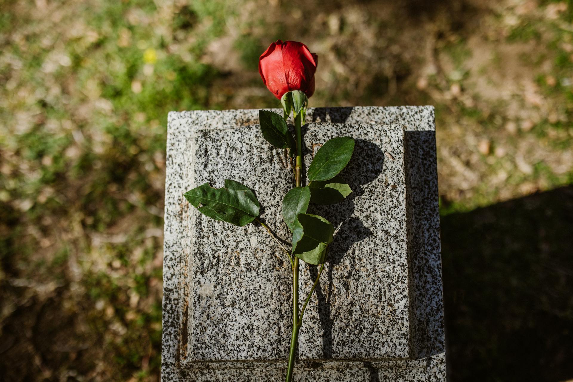 Une fleur sur une pierre tombale | Source : Pexels