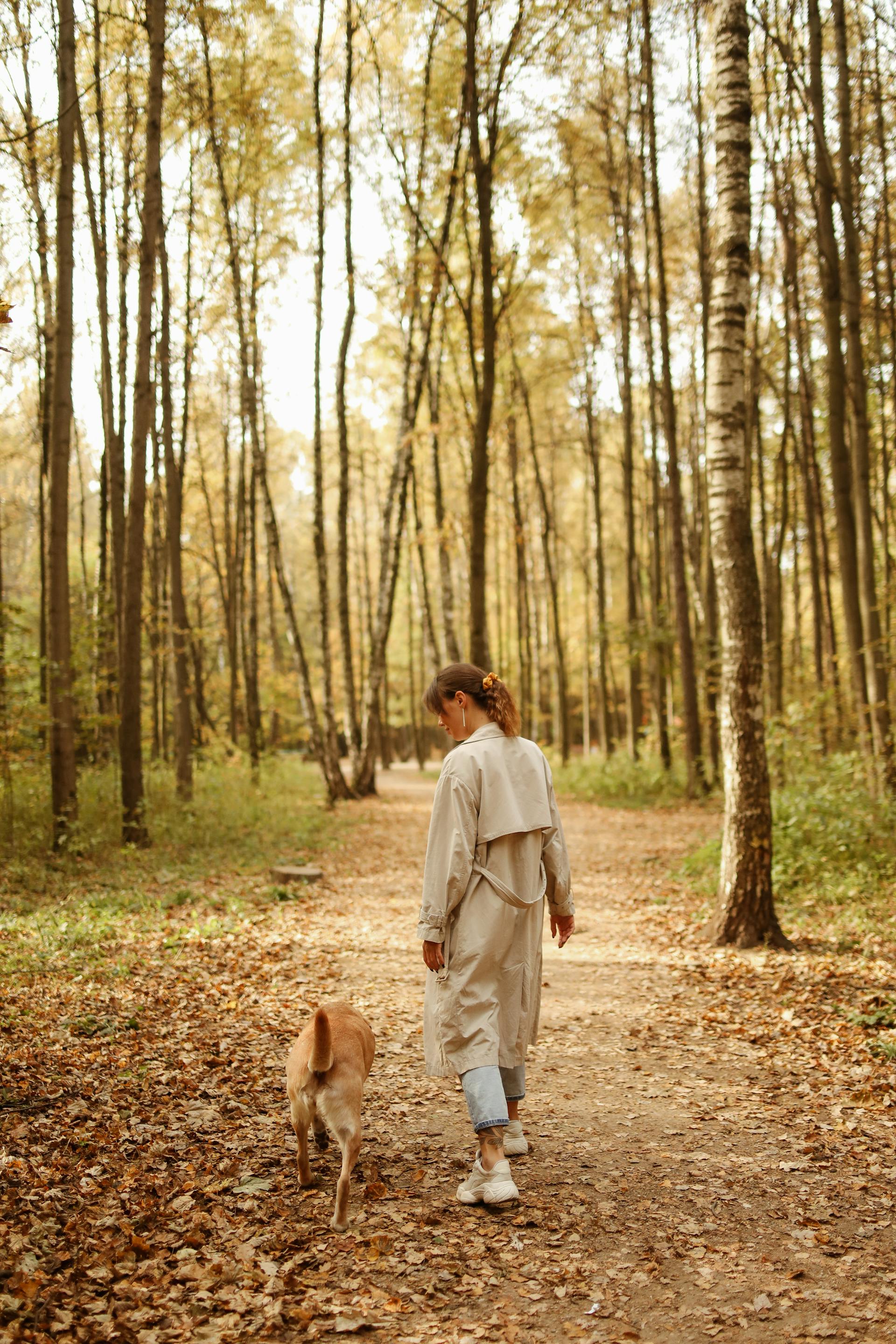 Une femme se promenant avec son chien dans les bois | Source : Pexels