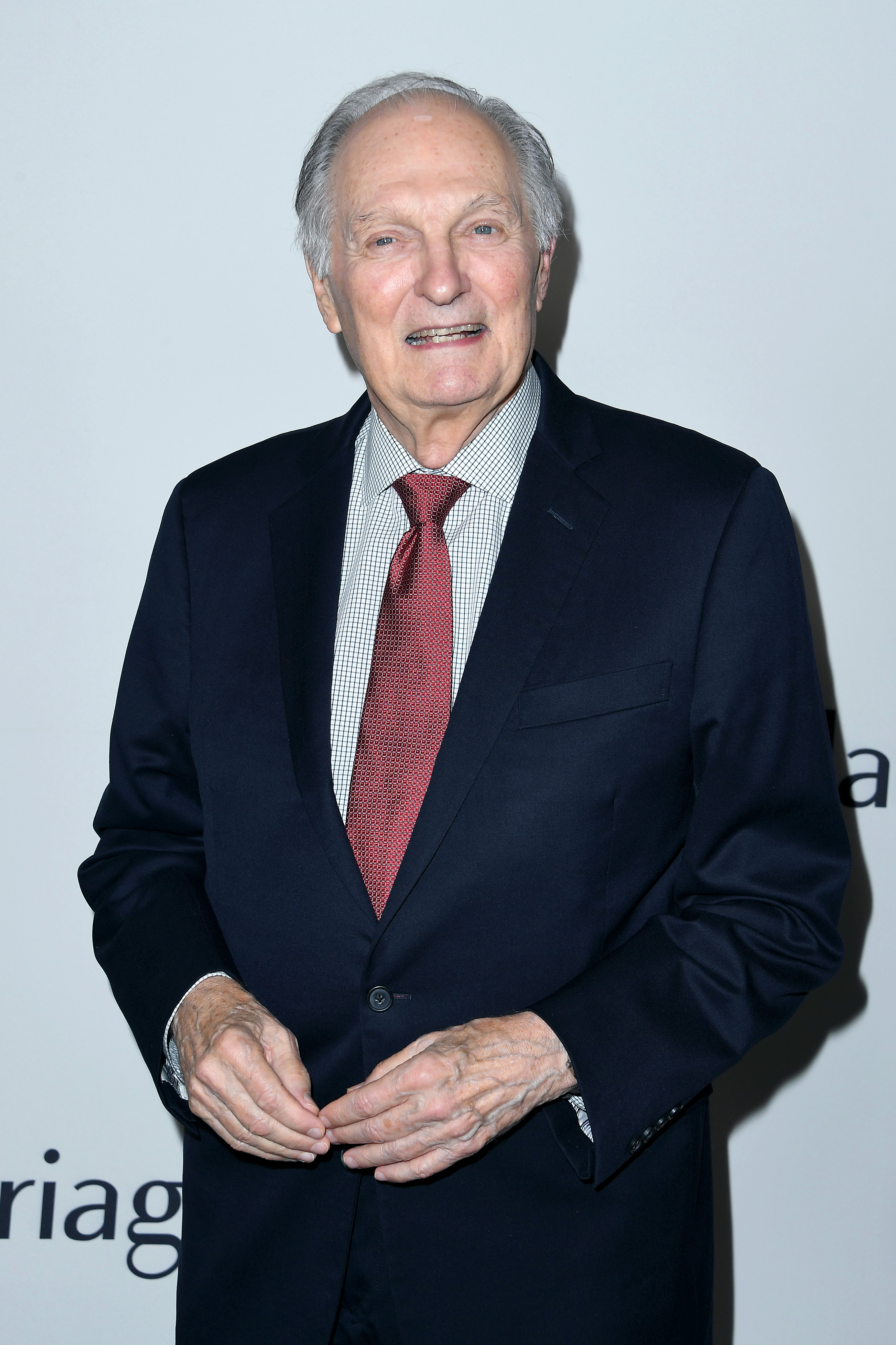 L’acteur assiste à la première du film Marriage Story de Netflix au DGA Theater, le 5 novembre 2019 | Source : Getty Images