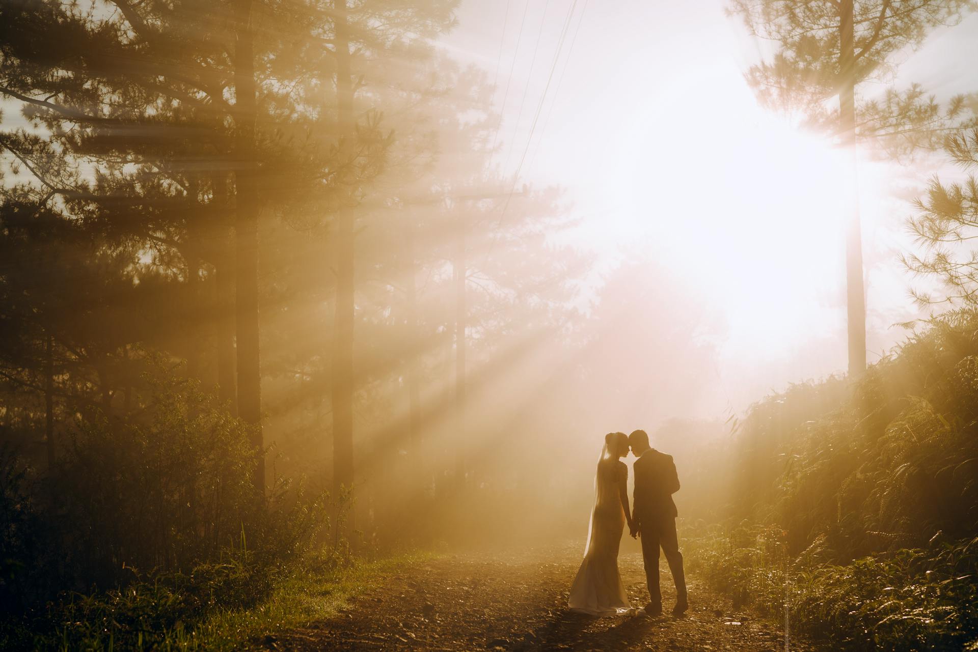 Une mariée et un marié debout sur une route dans une forêt avec des rayons de soleil qui brillent à travers les arbres | Source : Pexels
