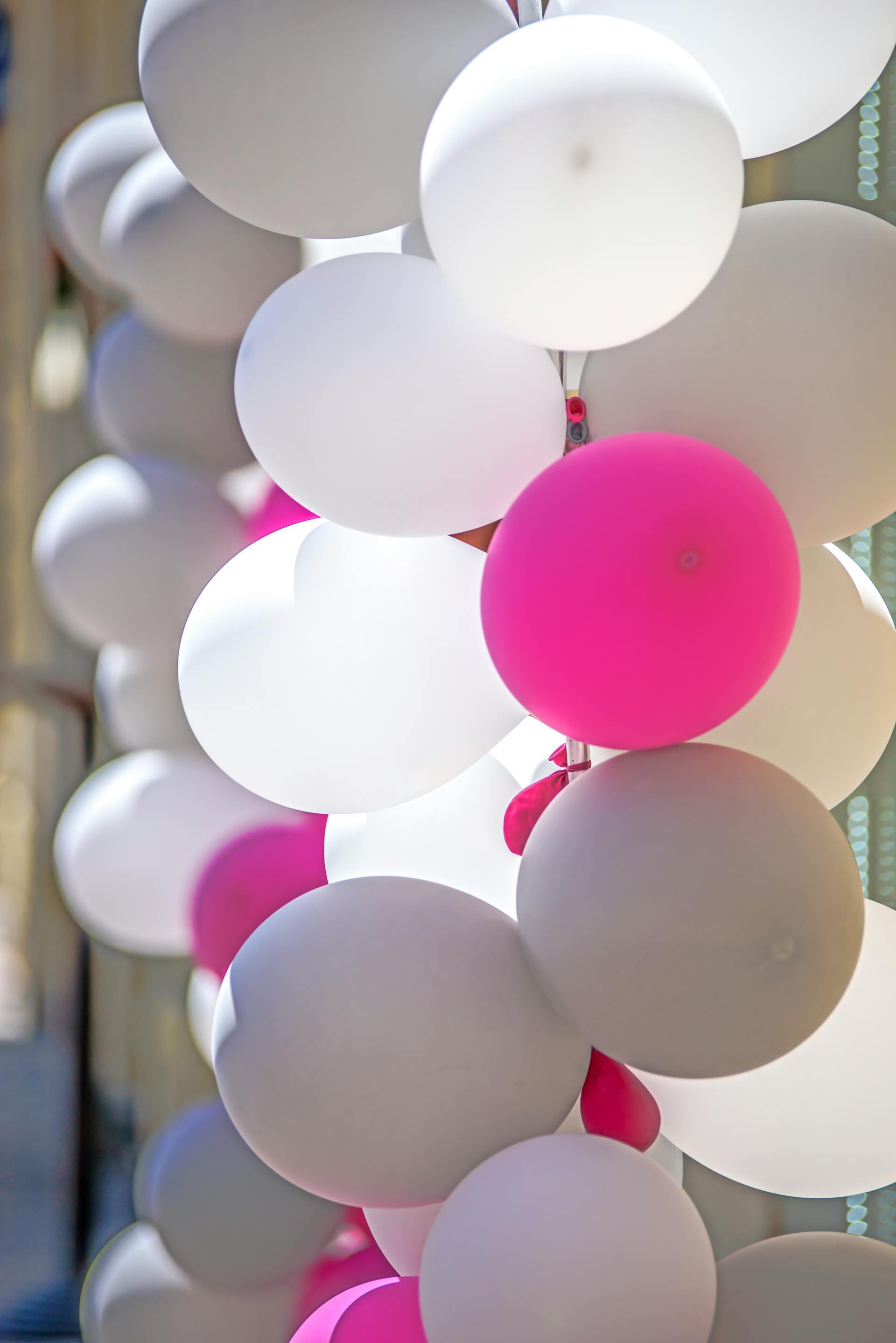 Gros plan sur des ballons de baudruche | Source : Pexels