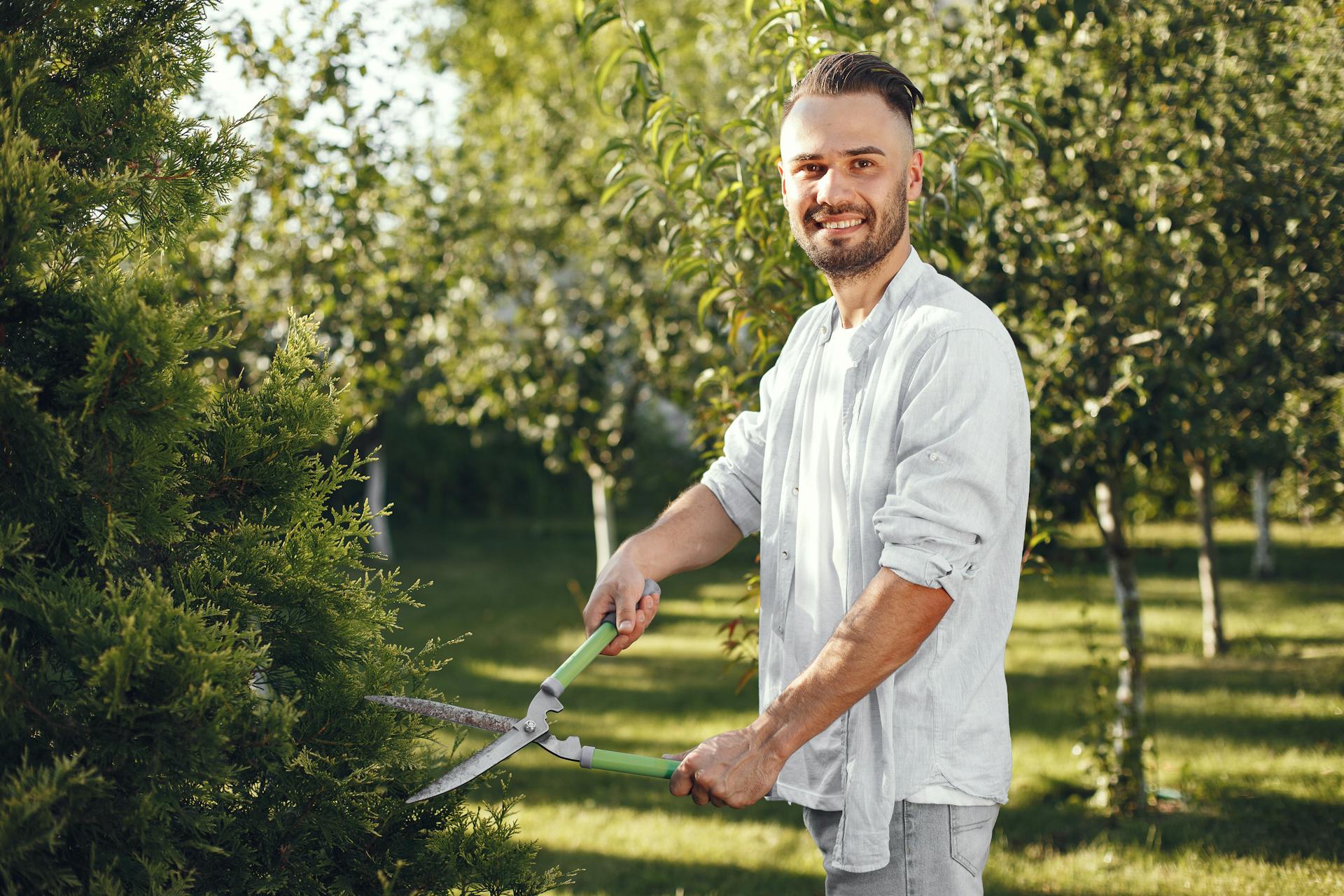 Un homme sourit en taillant un buisson dans son jardin par un après-midi ensoleillé | Source : Pexels