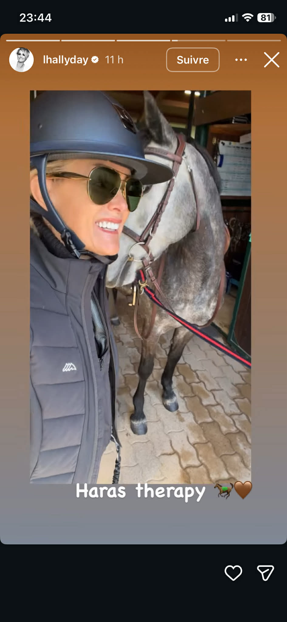 Capture d'écran I Source : https://www.instagram.com/lhallyday/?hl=fr