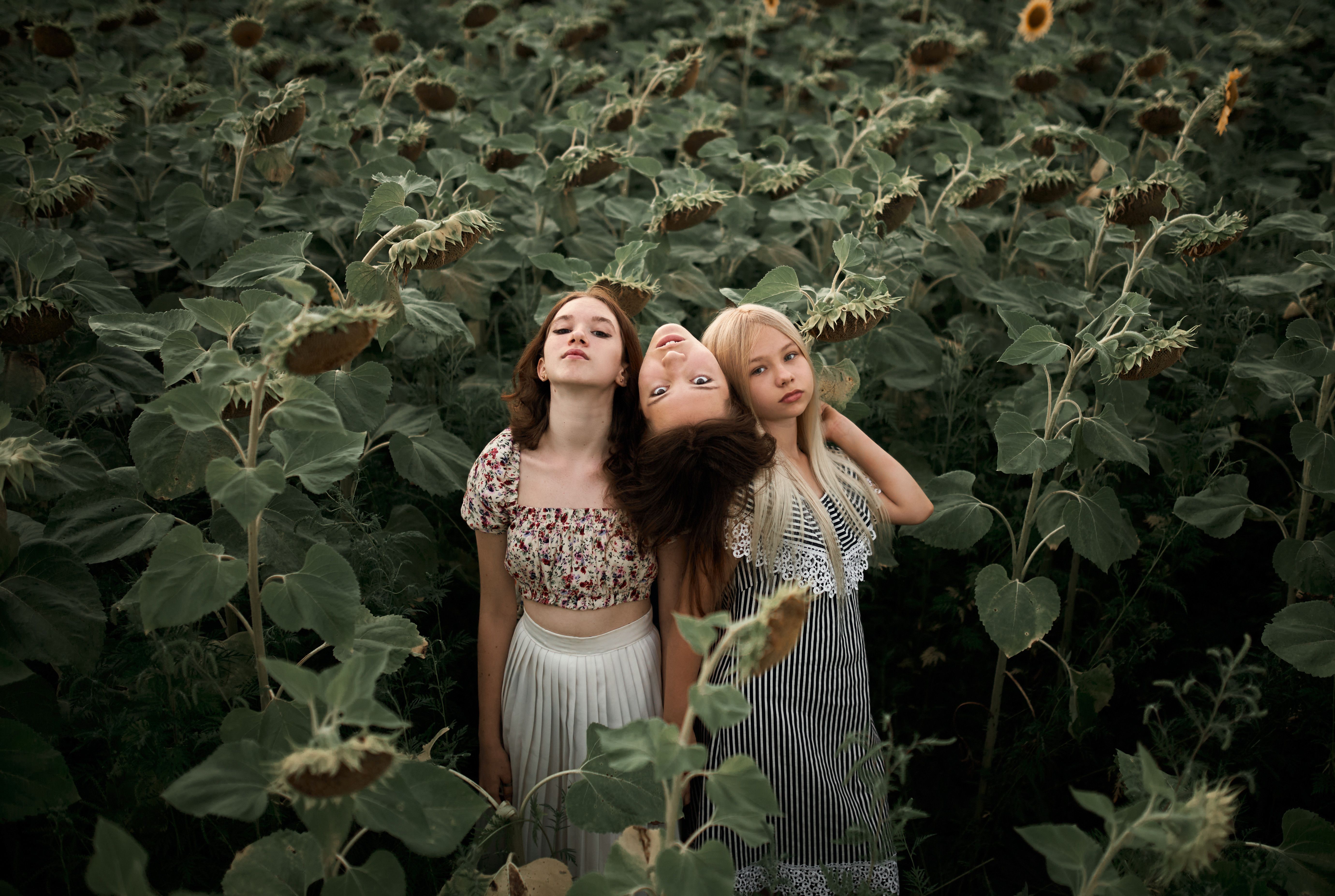 Trois filles dans un champ | Source : Pexels