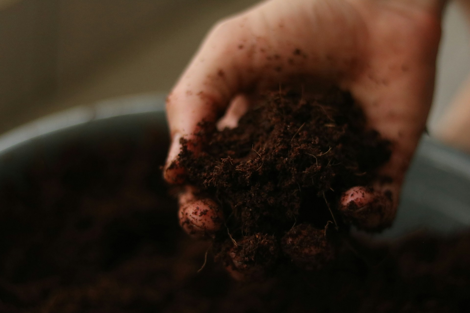Une personne ajoutant de la terre dans un pot | Source : Unsplash