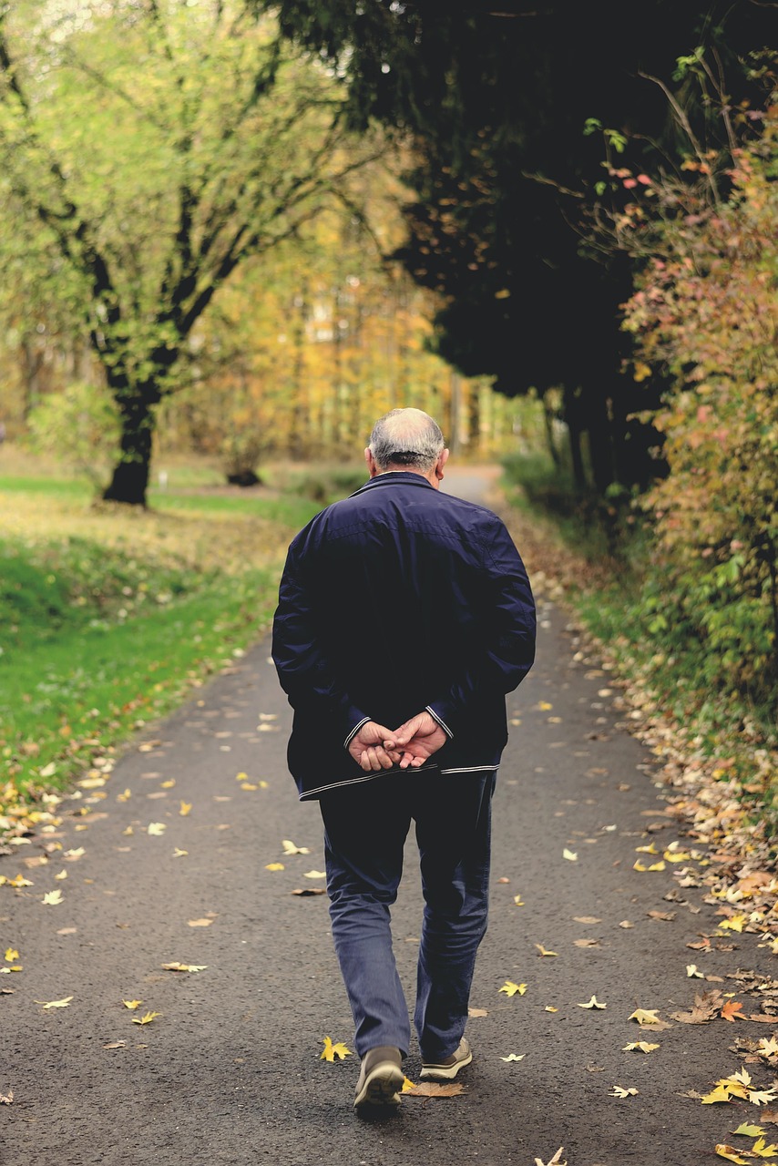 Un homme âgé qui s'éloigne | Source : Pixabay