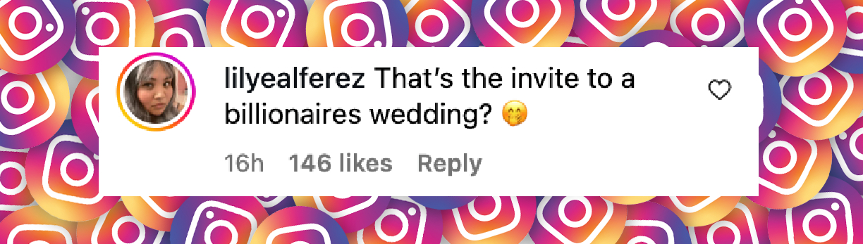 Le commentaire d'une internaute, daté du 24 juin 2025 | Source : Instagram/tmz_tv
