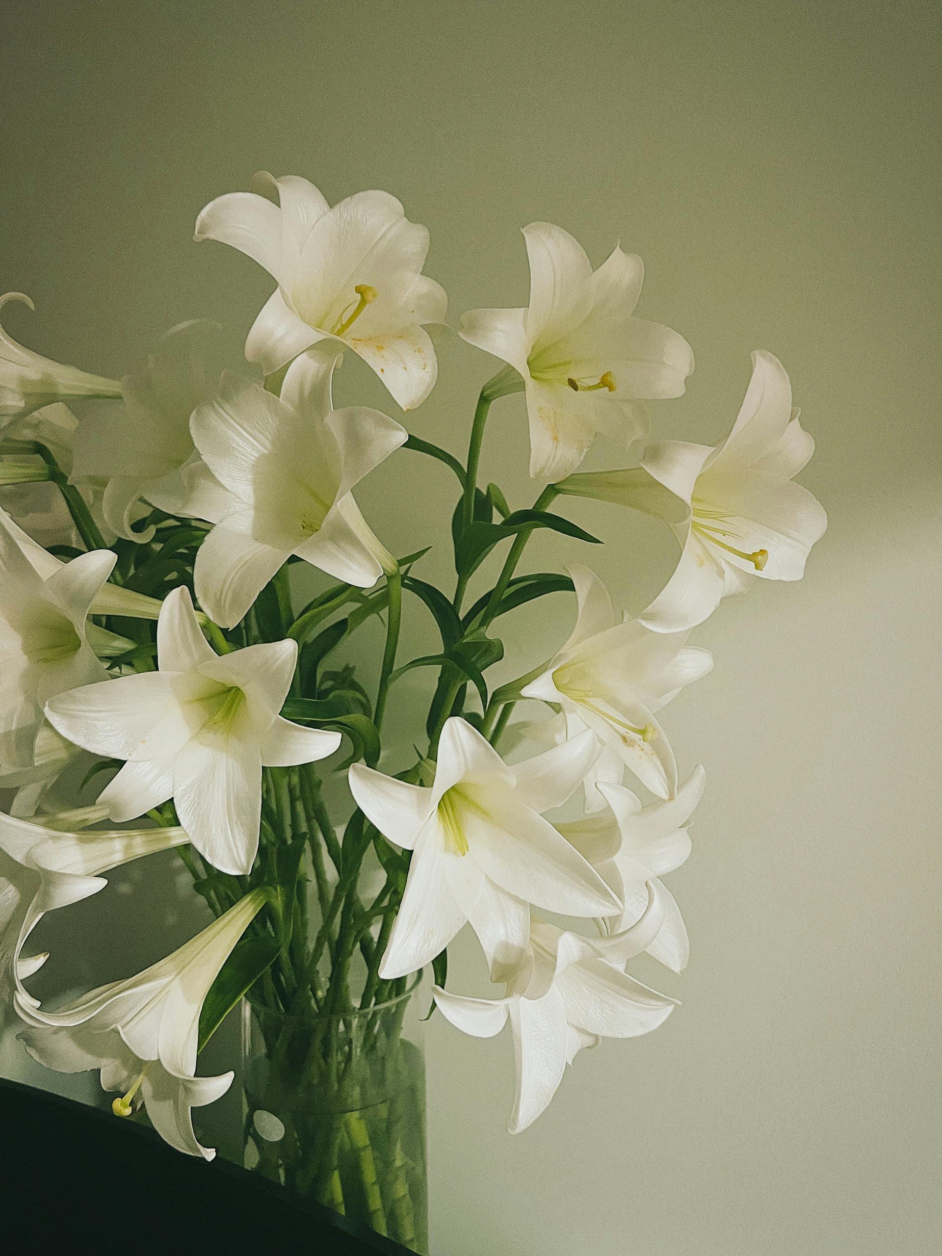 Un bouquet de lys | Source : Pexels