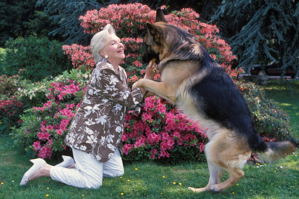 Line Renaud joue avec son chien chez elle le 19 mai 1989, France. (Photo by Patrice PICOT/Gamma-Rapho via Getty Images)