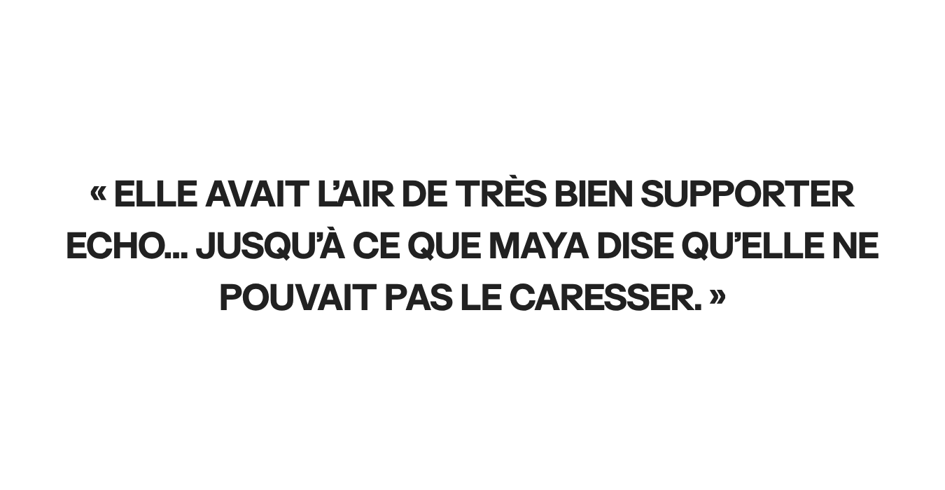 À titre d'illustration uniquement | Source : Ozdomedia