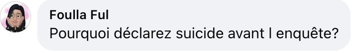 Commentaire d'un internaute | Source : Facebook/BFMTV