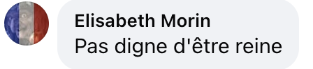 Commentaire d'un internaute | Source : Facebook/Amomama France